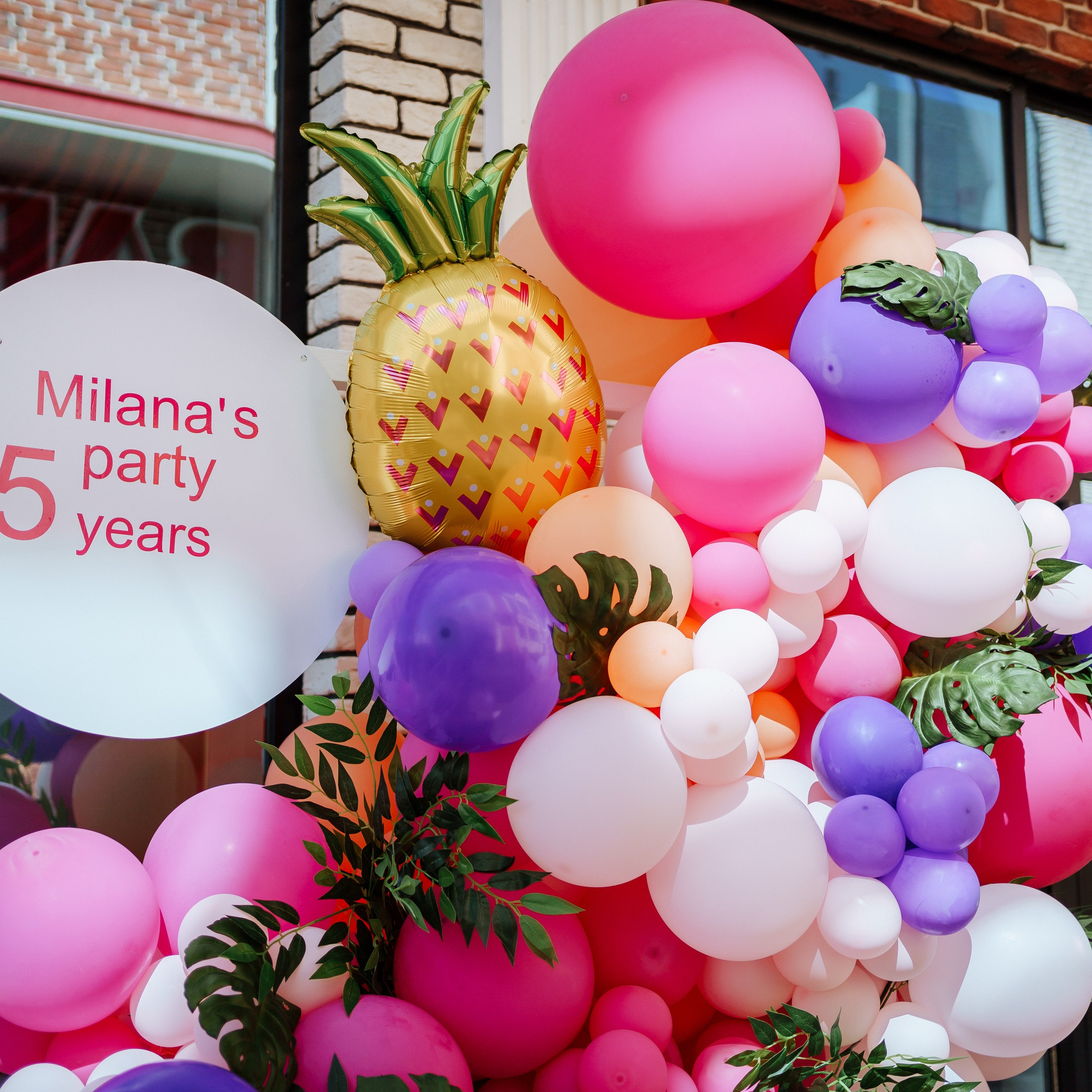 Milana's Party 5 year