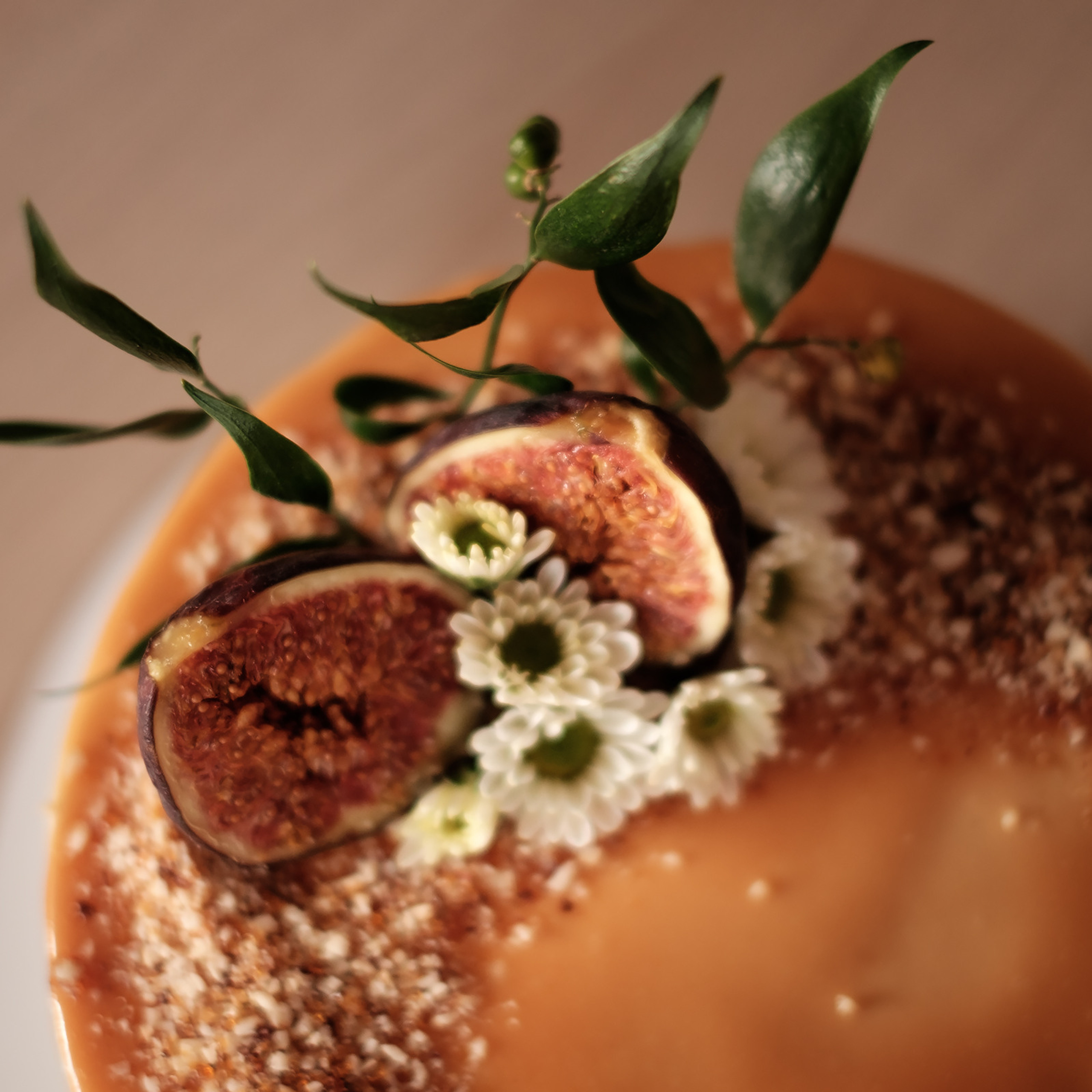 Отзывы. Фототерапия «Пульс СЧАСТЬЯ»