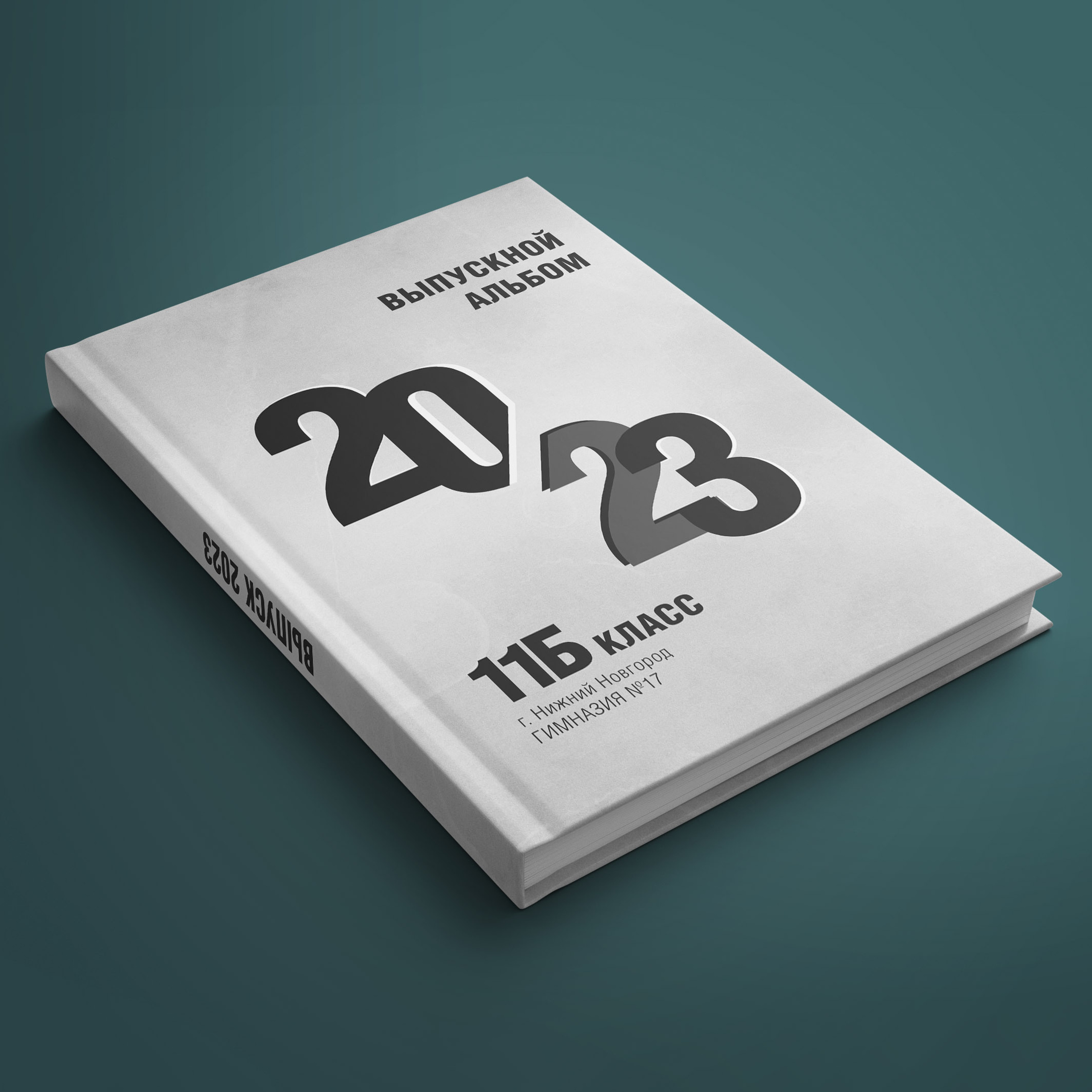 Гимназия 17 класс 11Б