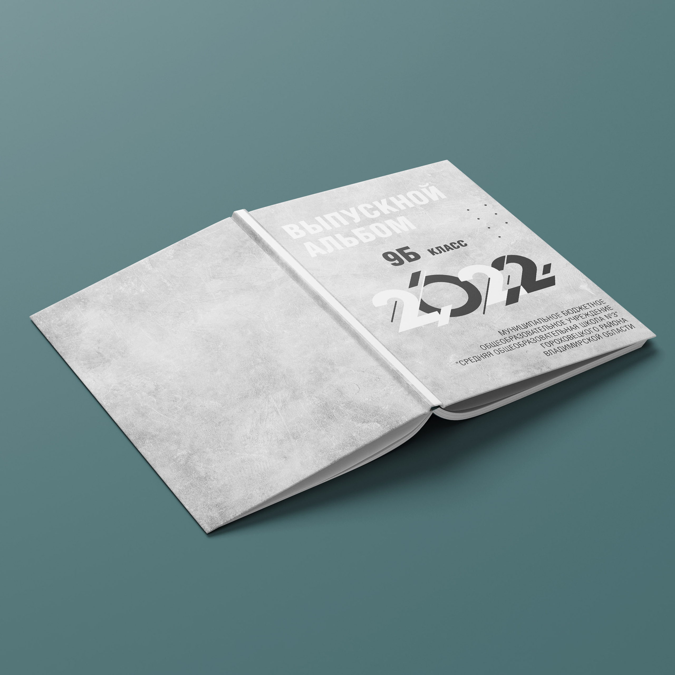 Школа № 3 класс 9Б г. Гороховец