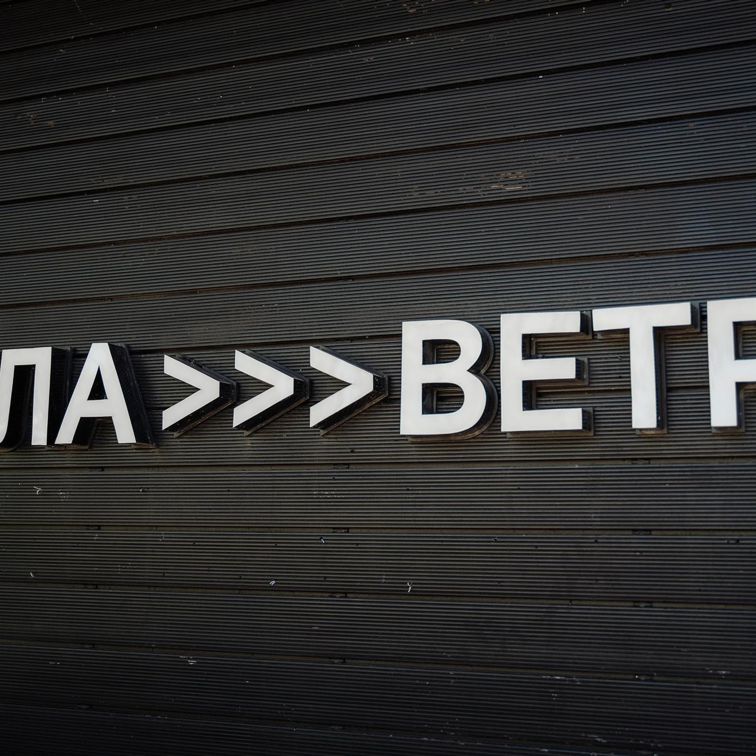 20230611 Фестиваль яхт клуба «Сила ветра»