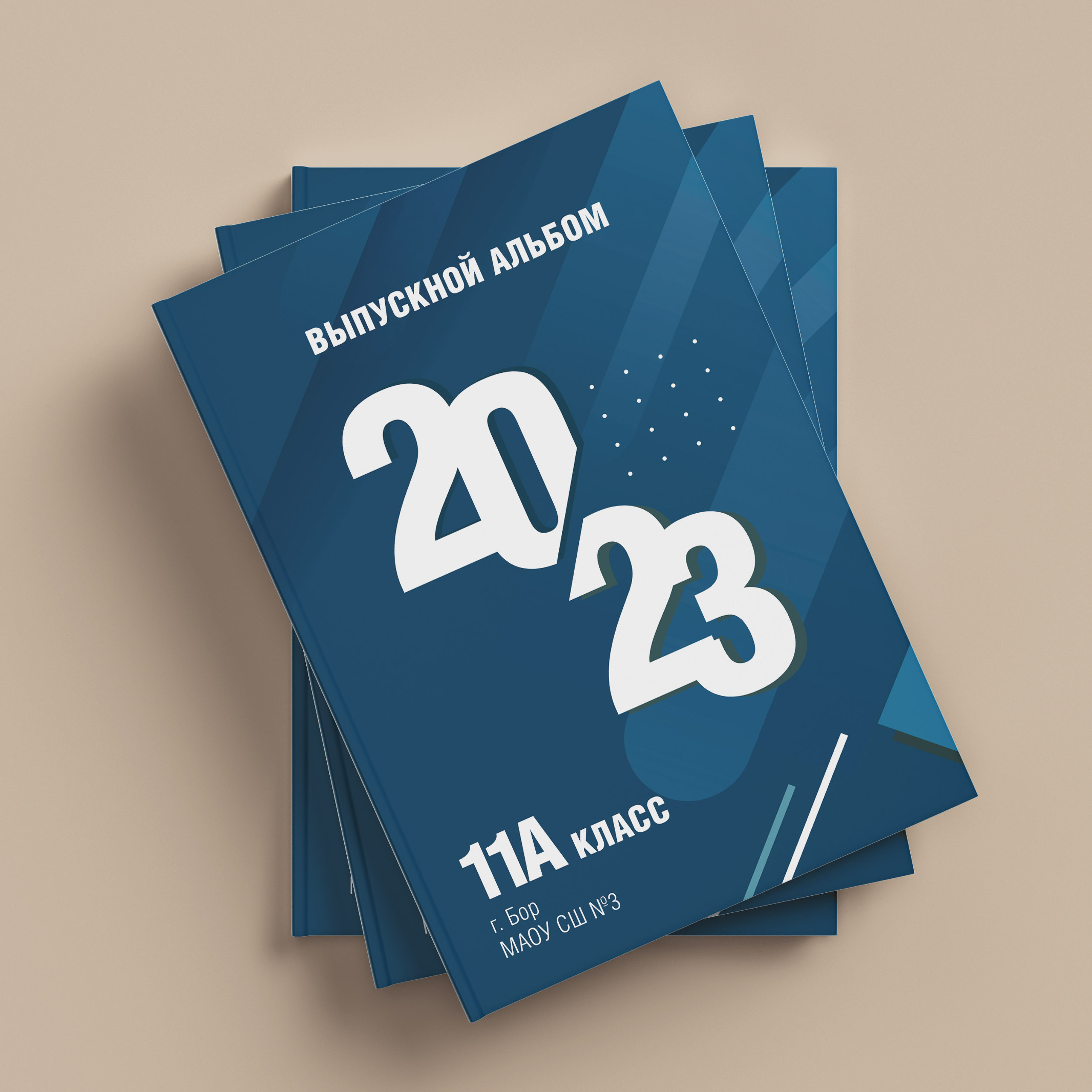 Средняя школа № 3 класс 11А г. Бор