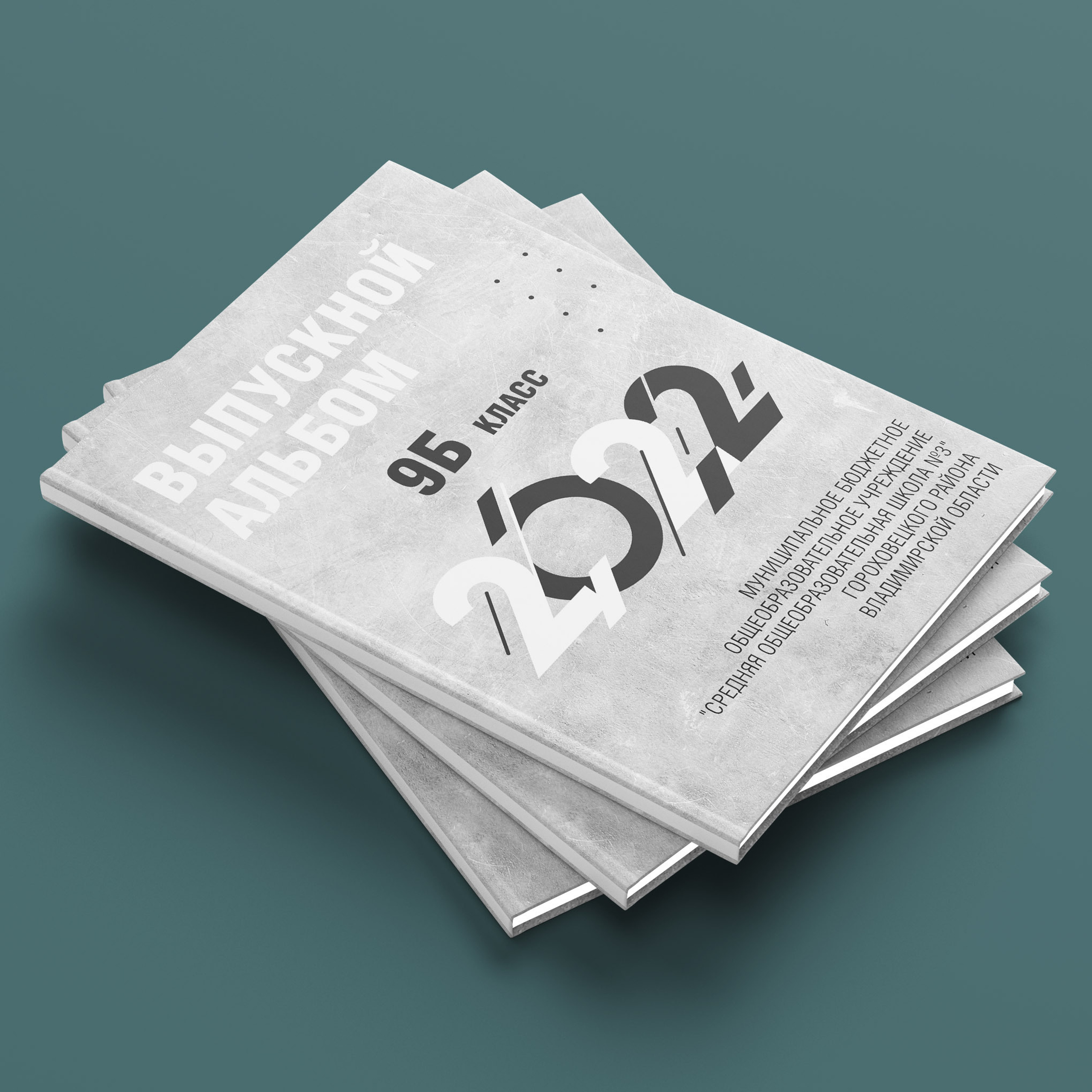 Школа № 3 класс 9Б г. Гороховец