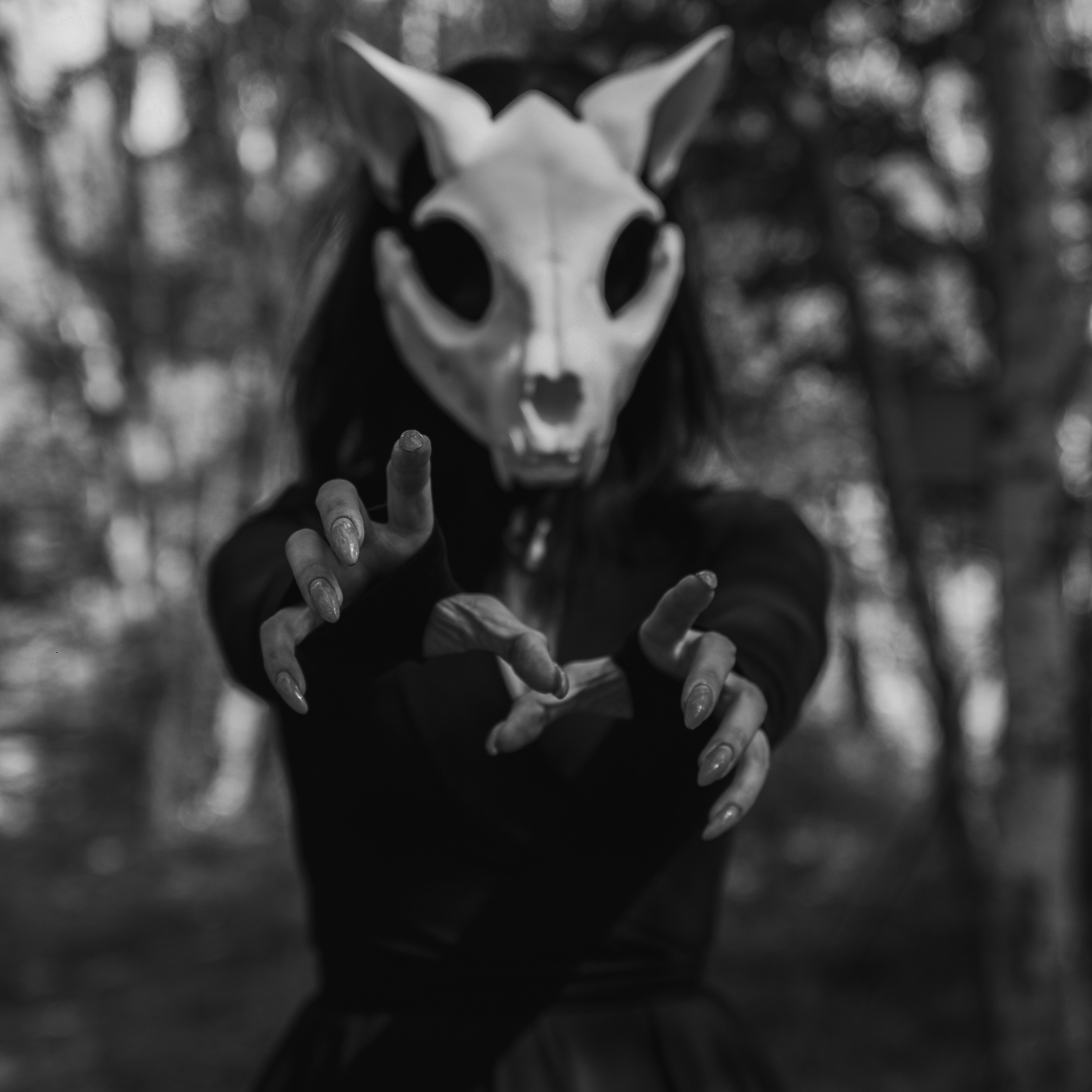 Отзывы о фотографе в Петропавловске-Камчатском. Фотограф Камчатка