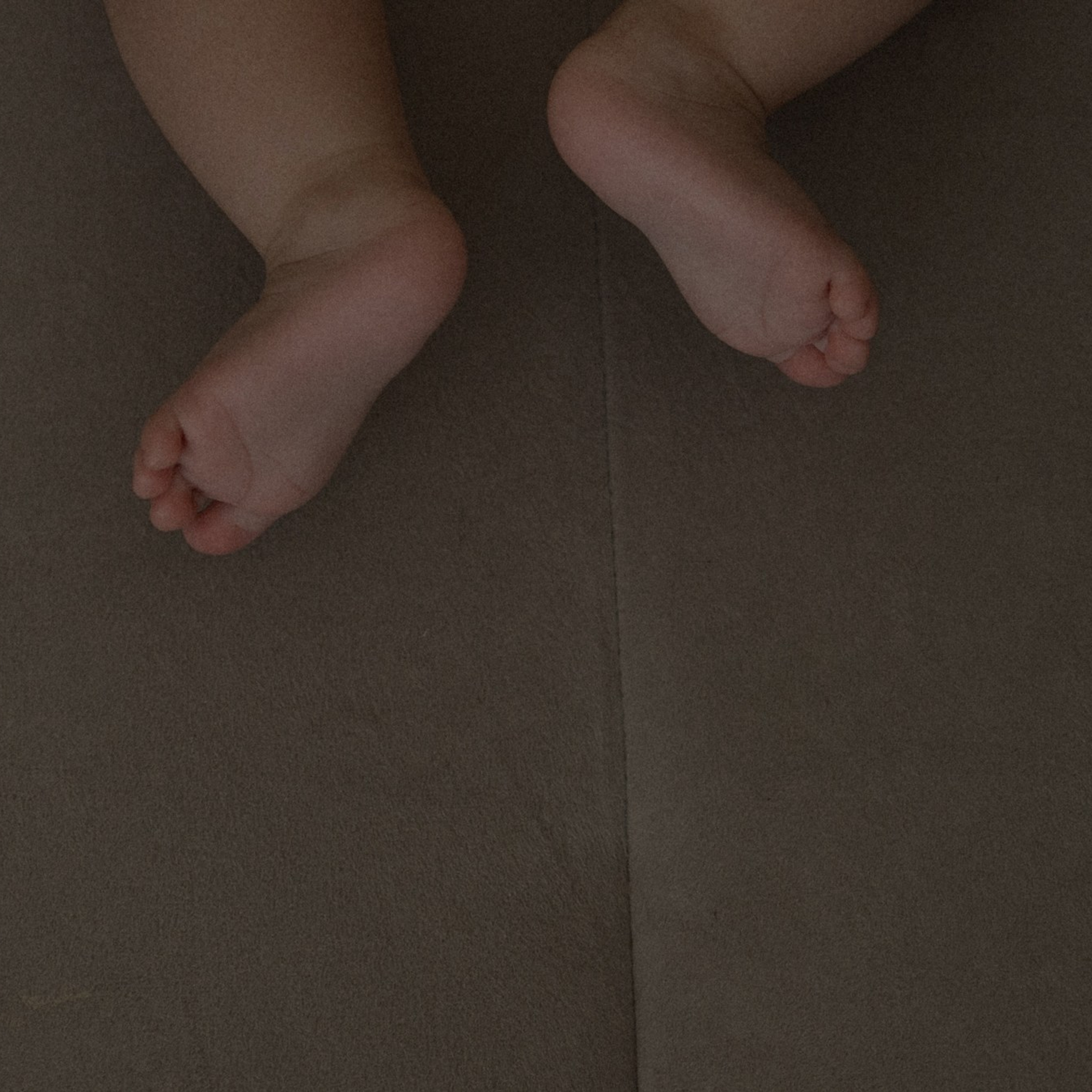 Усатый нянь. Фотограф Daria Wilner