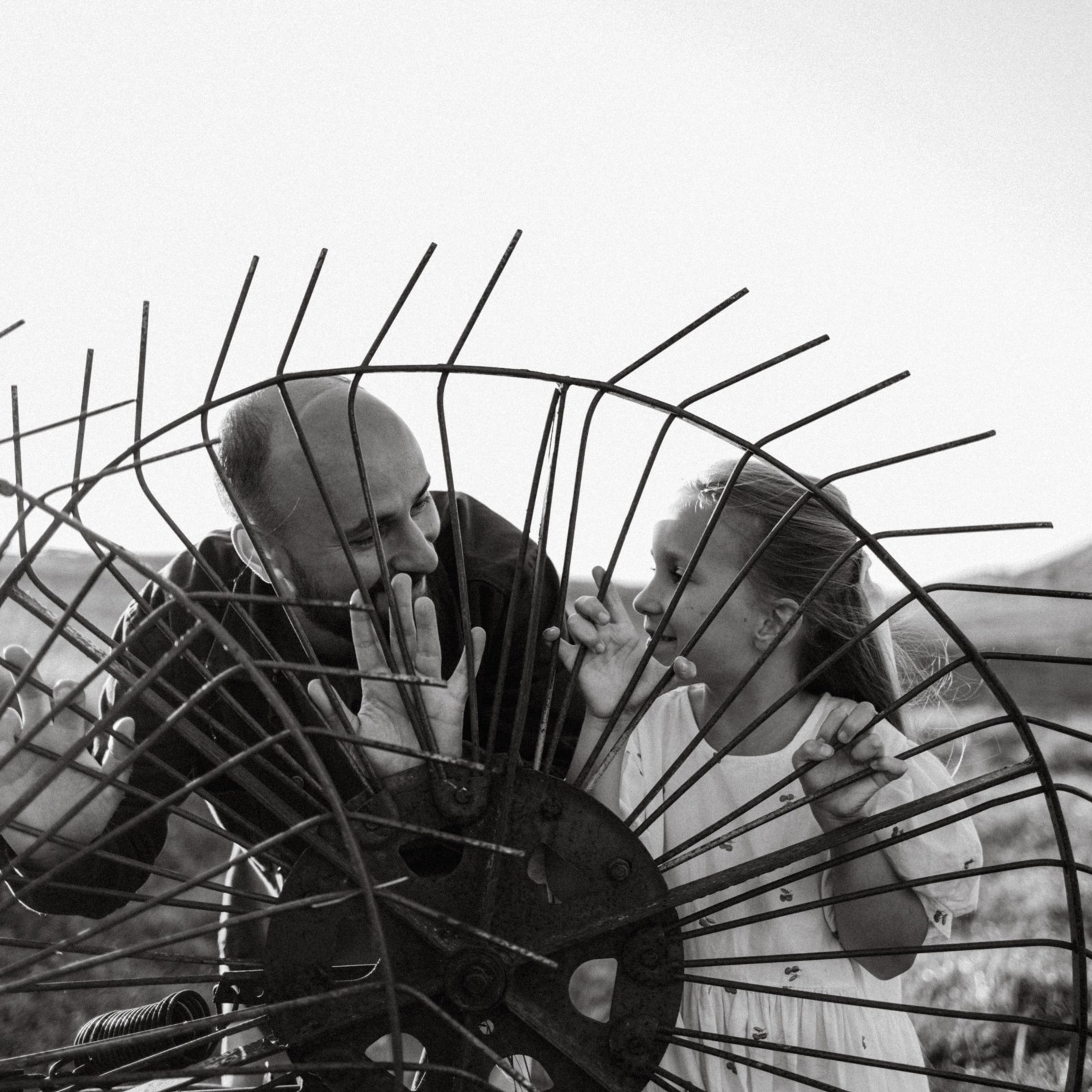 Дружелюбная овечка. Фотограф Daria Wilner