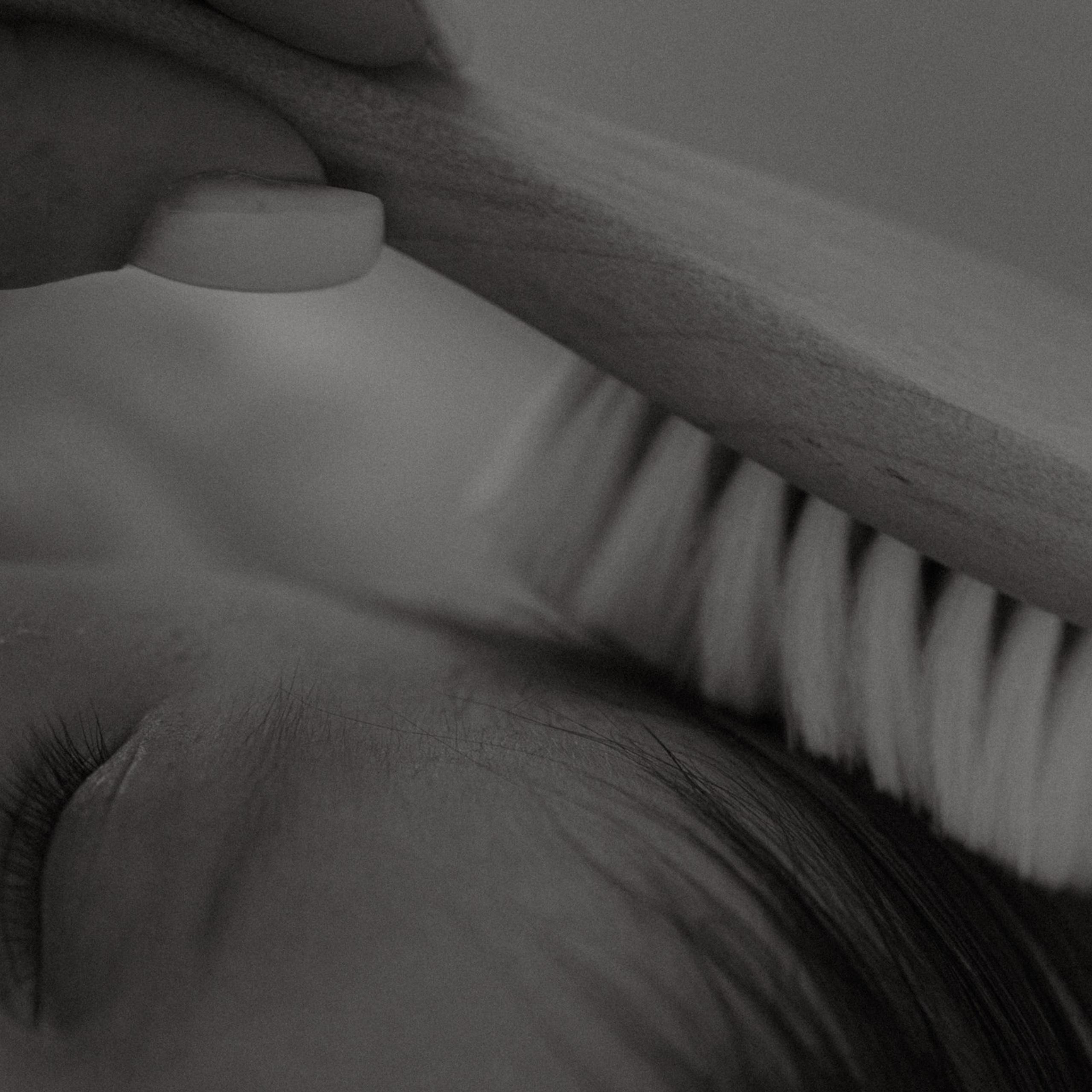 Усатый нянь. Фотограф Daria Wilner