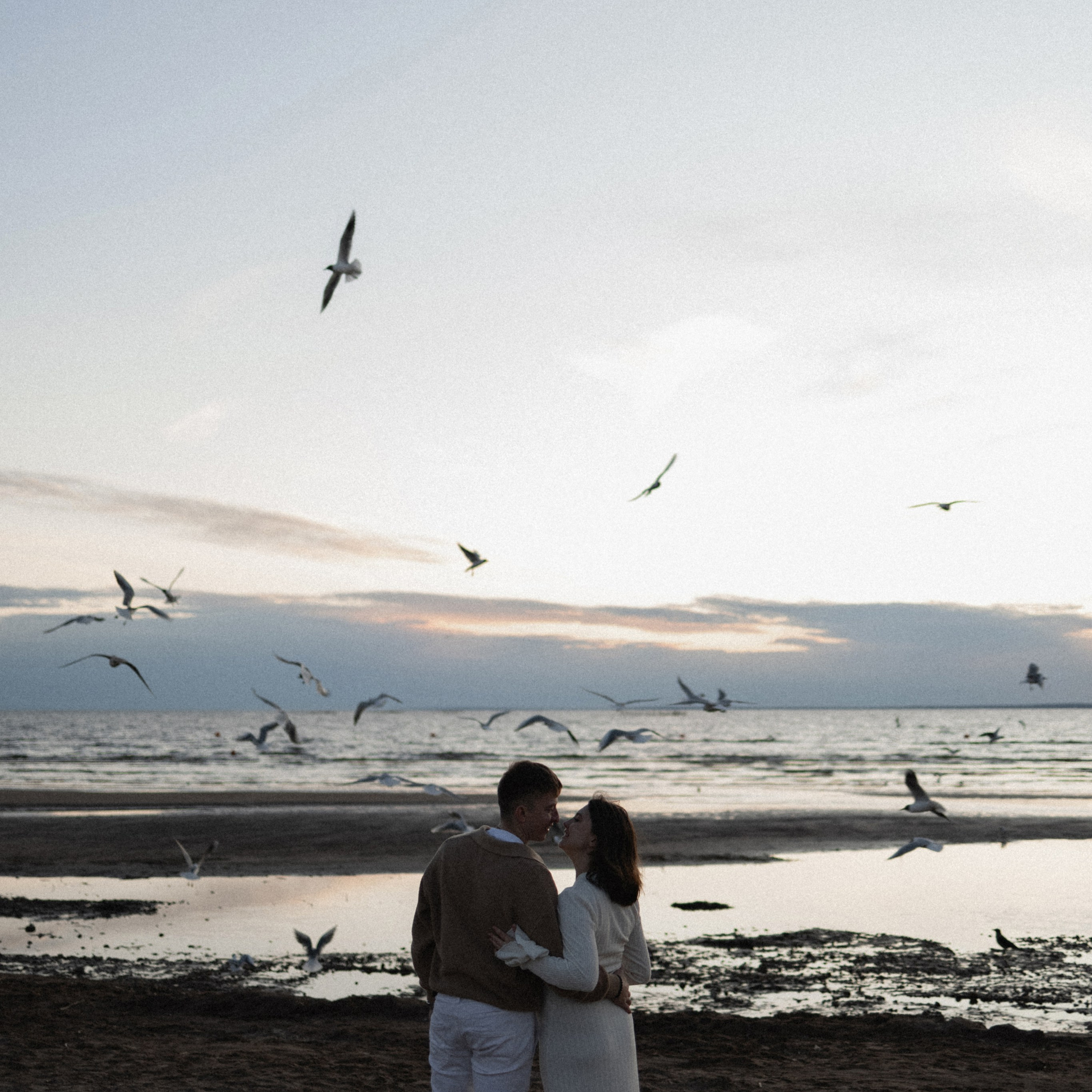 Любовь и чайки. Фотограф Daria Wilner