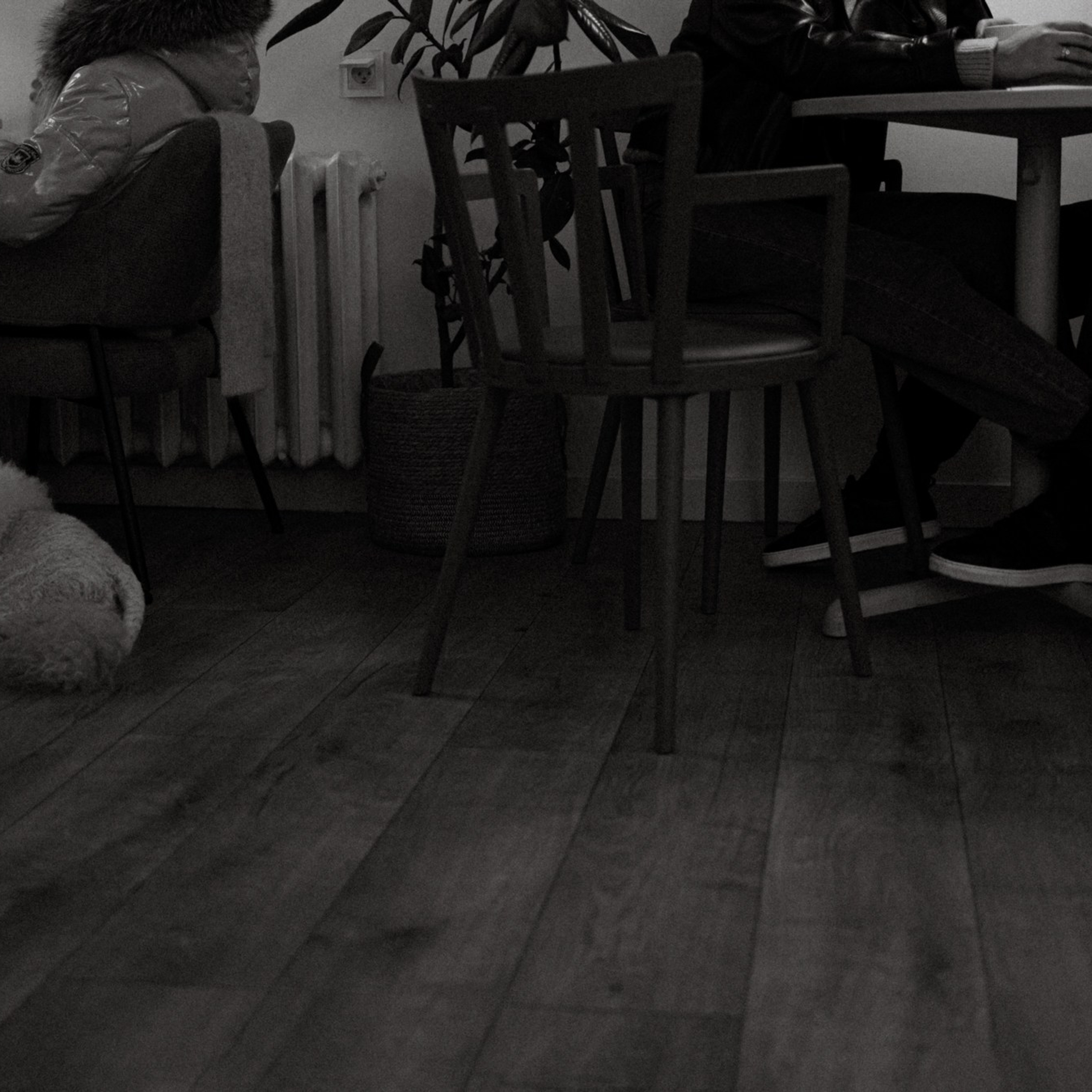 Ведется видеонаблюдение. Фотограф Daria Wilner