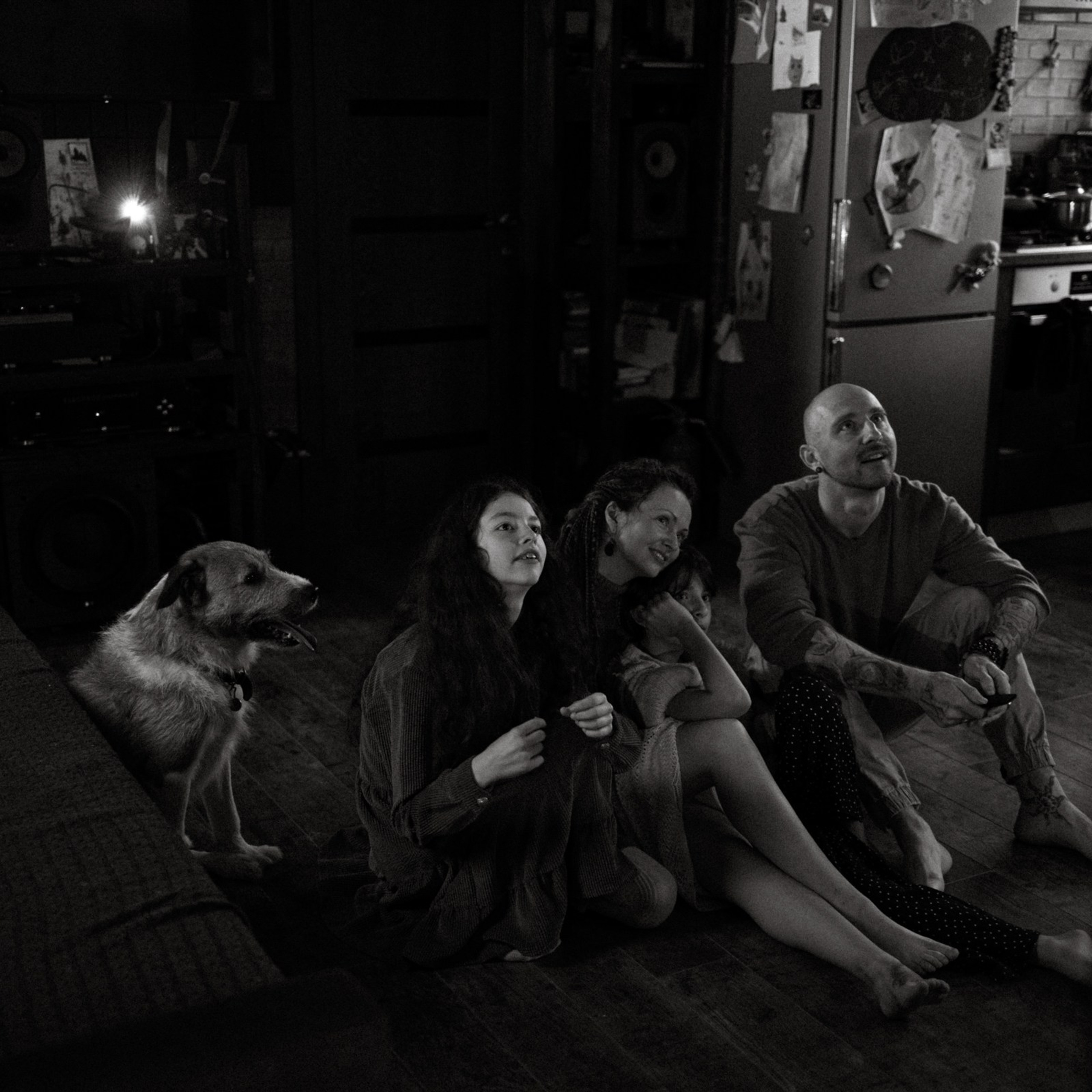 Франкенвини. Фотограф Daria Wilner