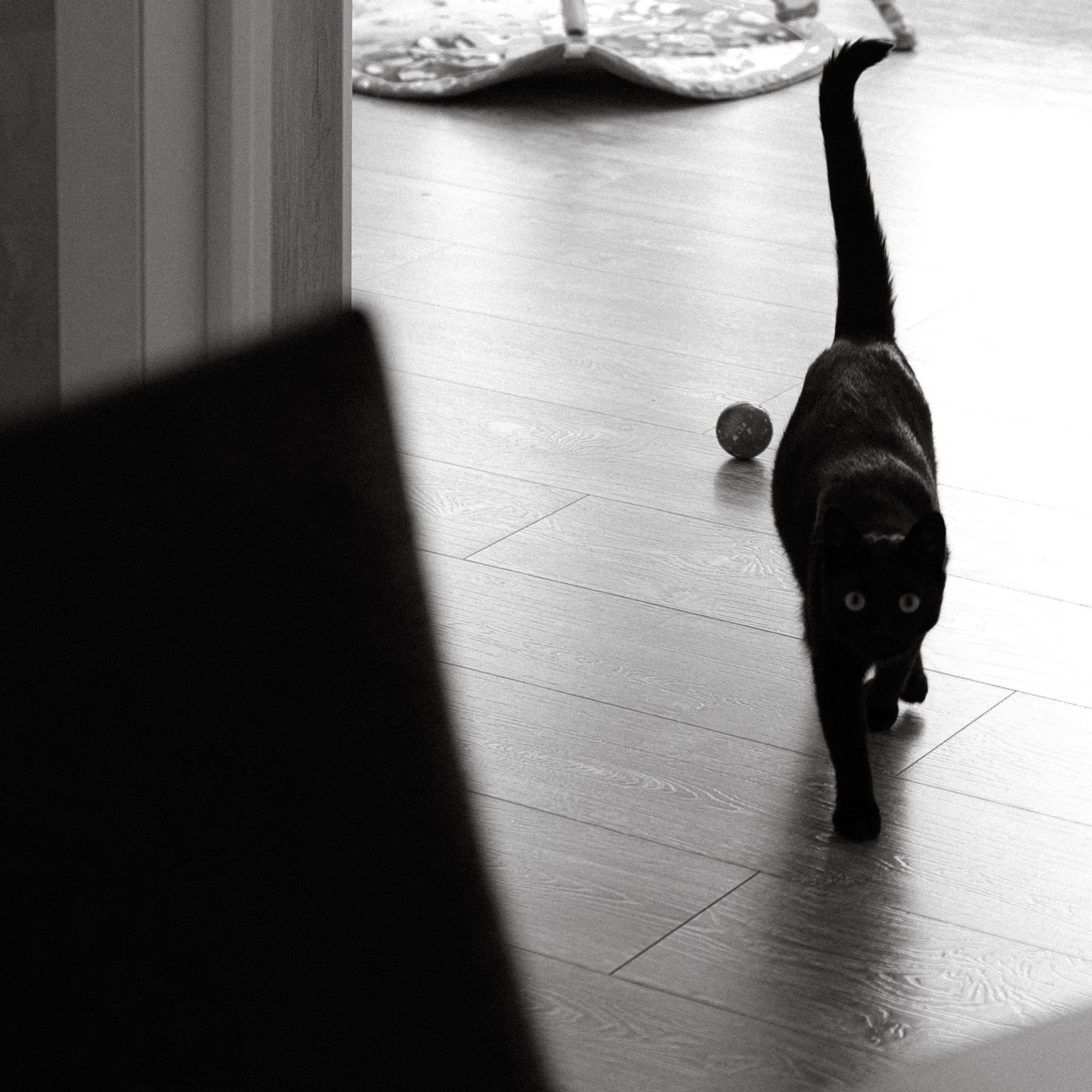 Тепло. Фотограф Daria Wilner