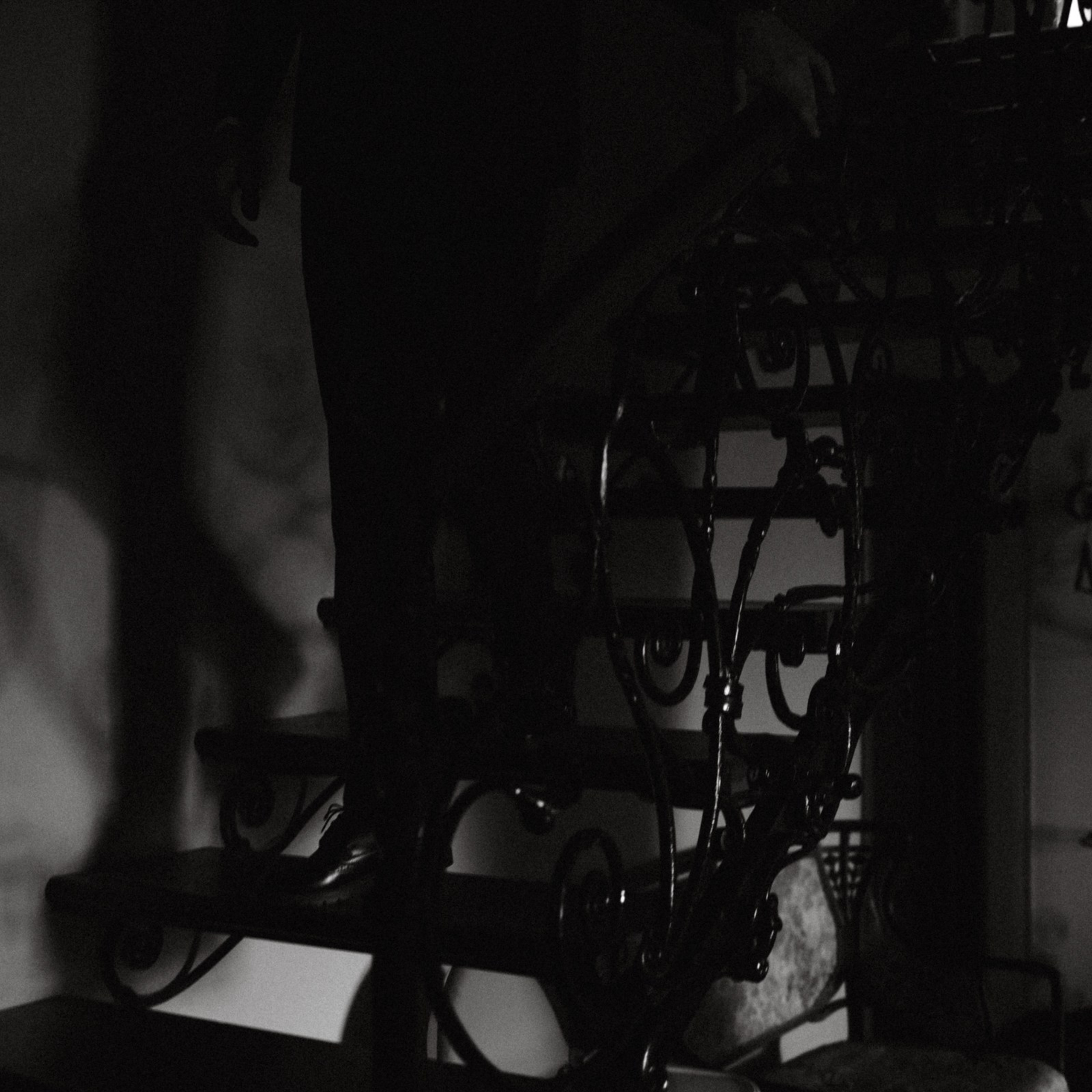 La Madeleine de Proust. Фотограф Daria Wilner