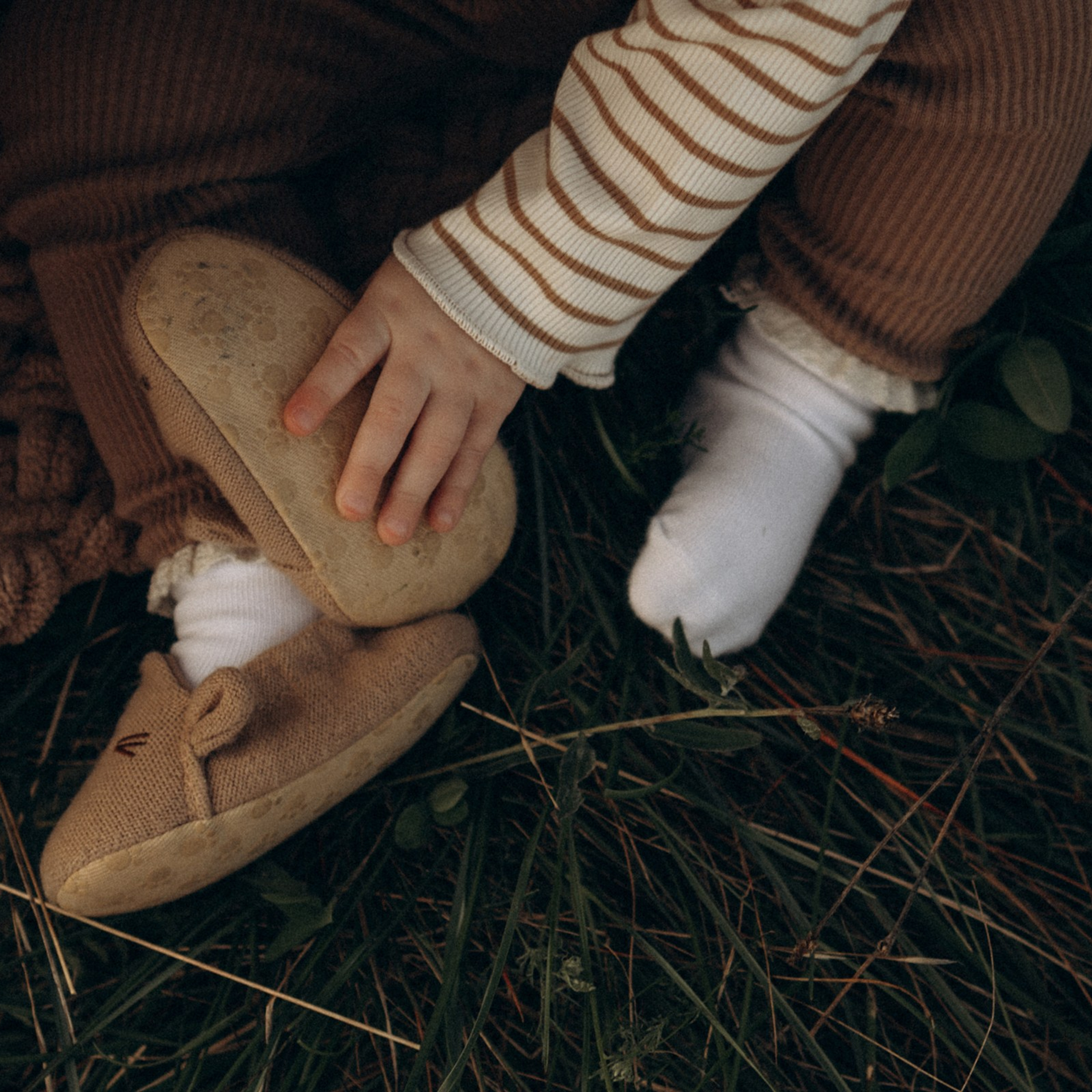 Печенька. Фотограф Daria Wilner