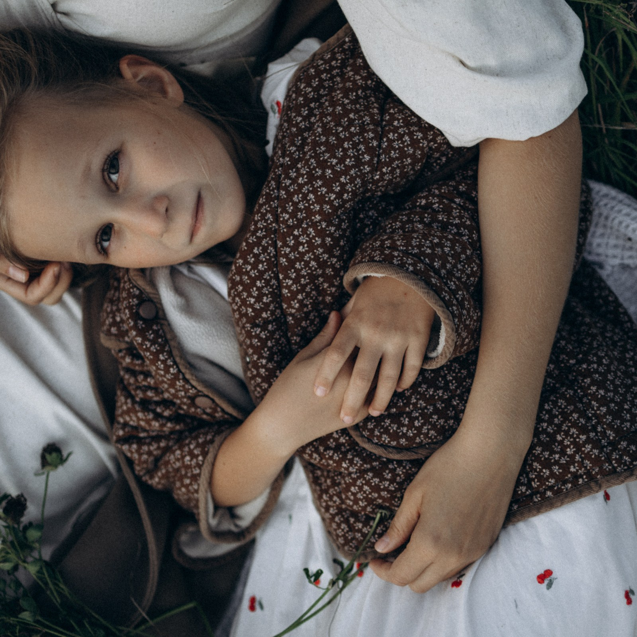 Дружелюбная овечка. Фотограф Daria Wilner