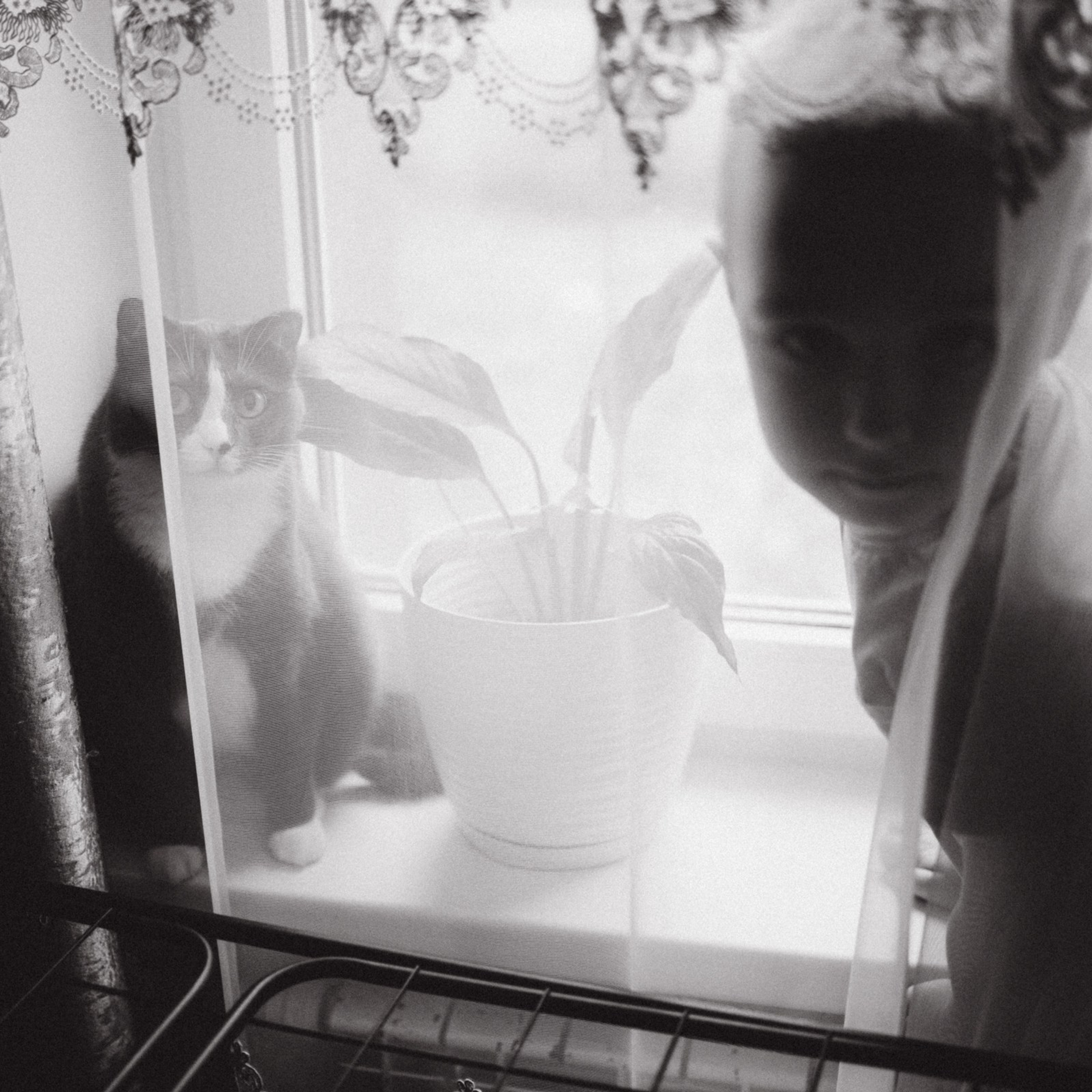 Чай с ллидинками. Фотограф Daria Wilner