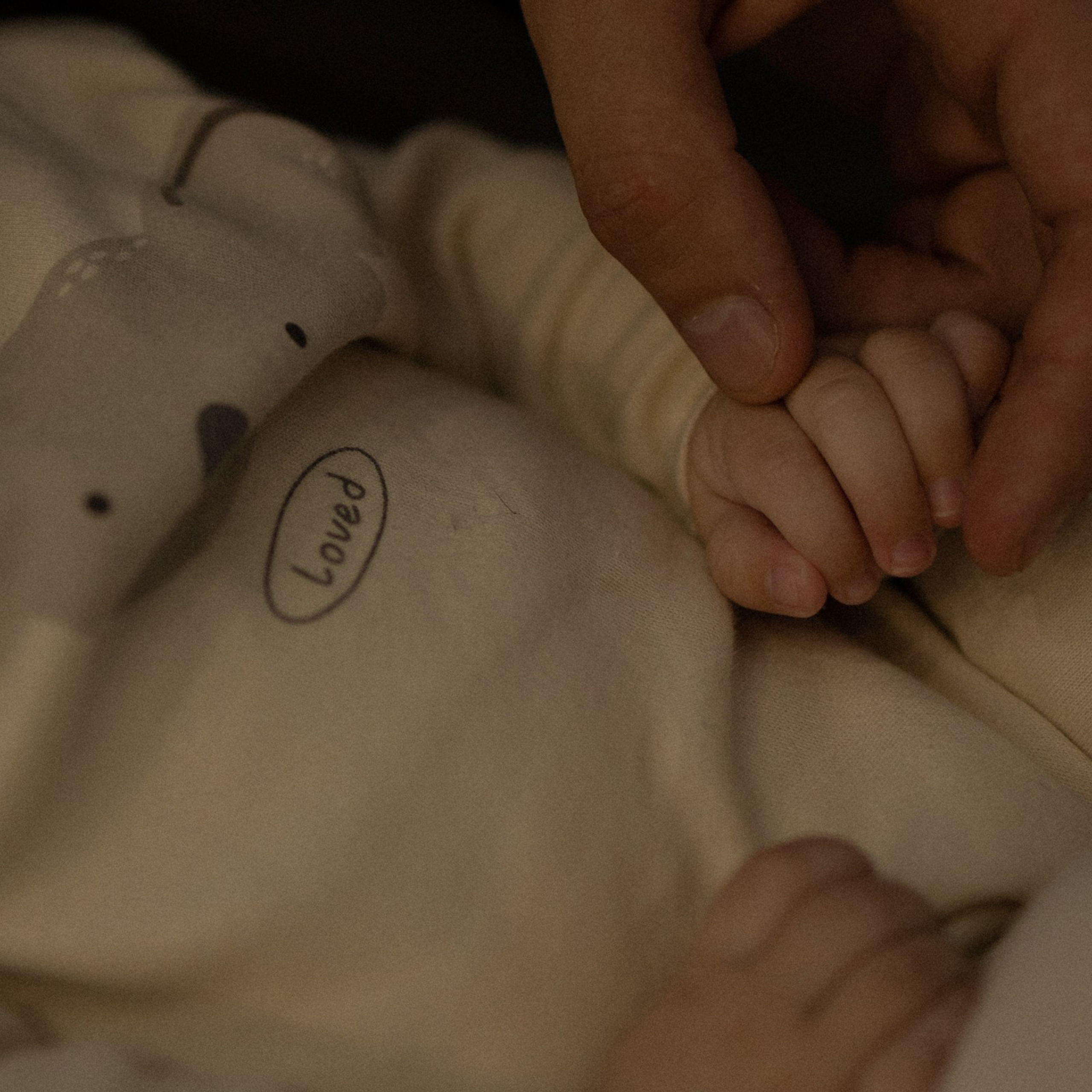 Тепло. Фотограф Daria Wilner