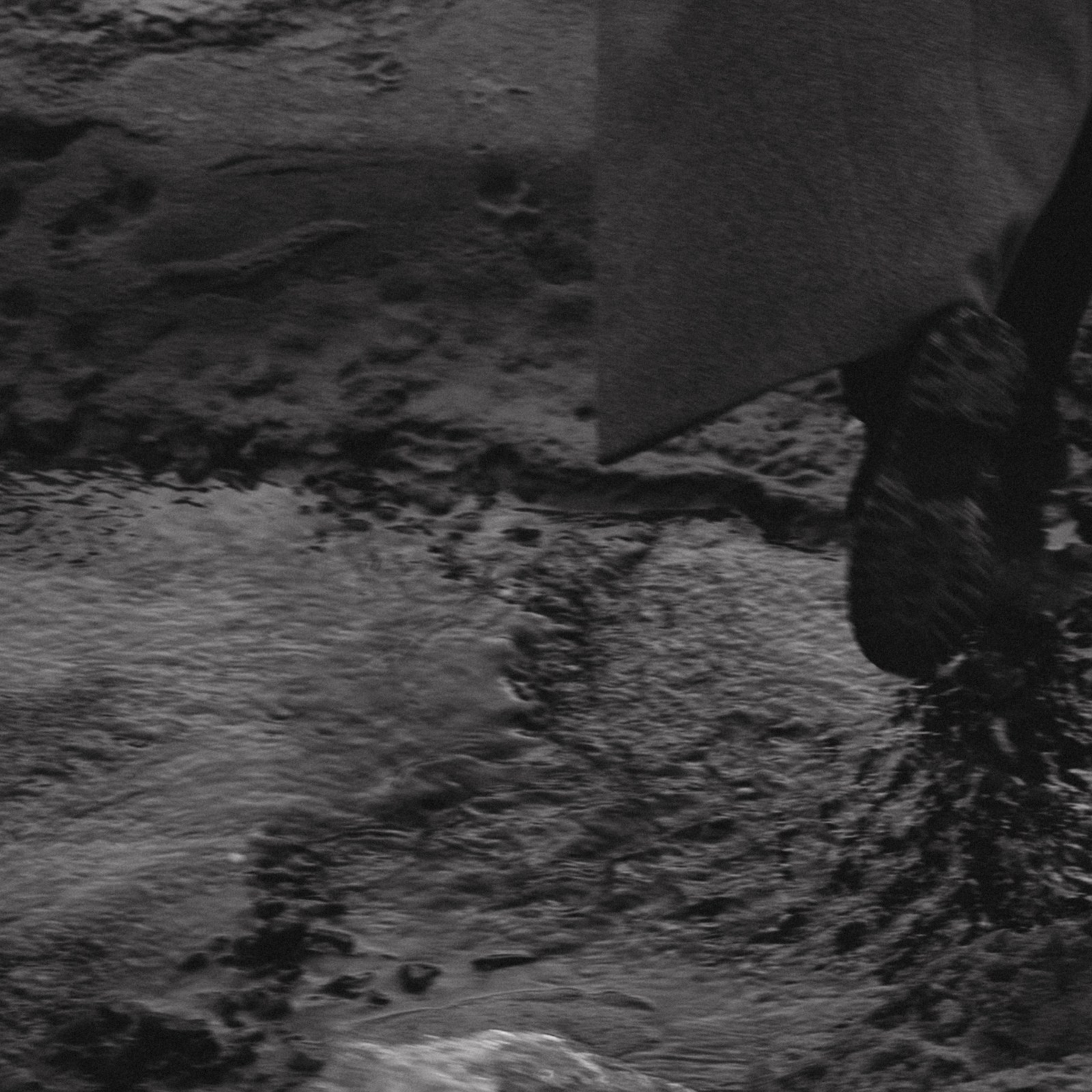 К Чуду. Фотограф Daria Wilner