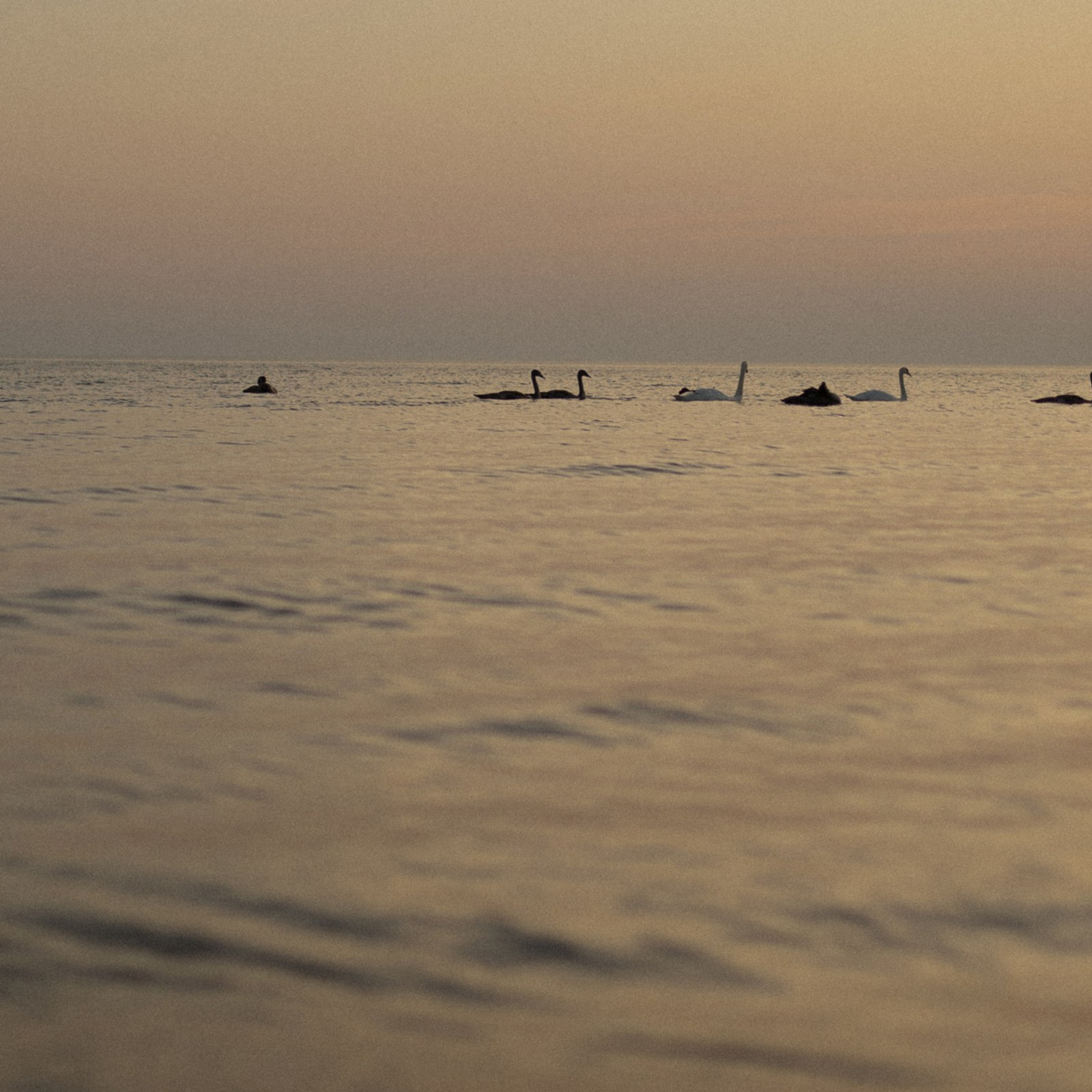 Первое море в жизни маленького человека. Фотограф Daria Wilner