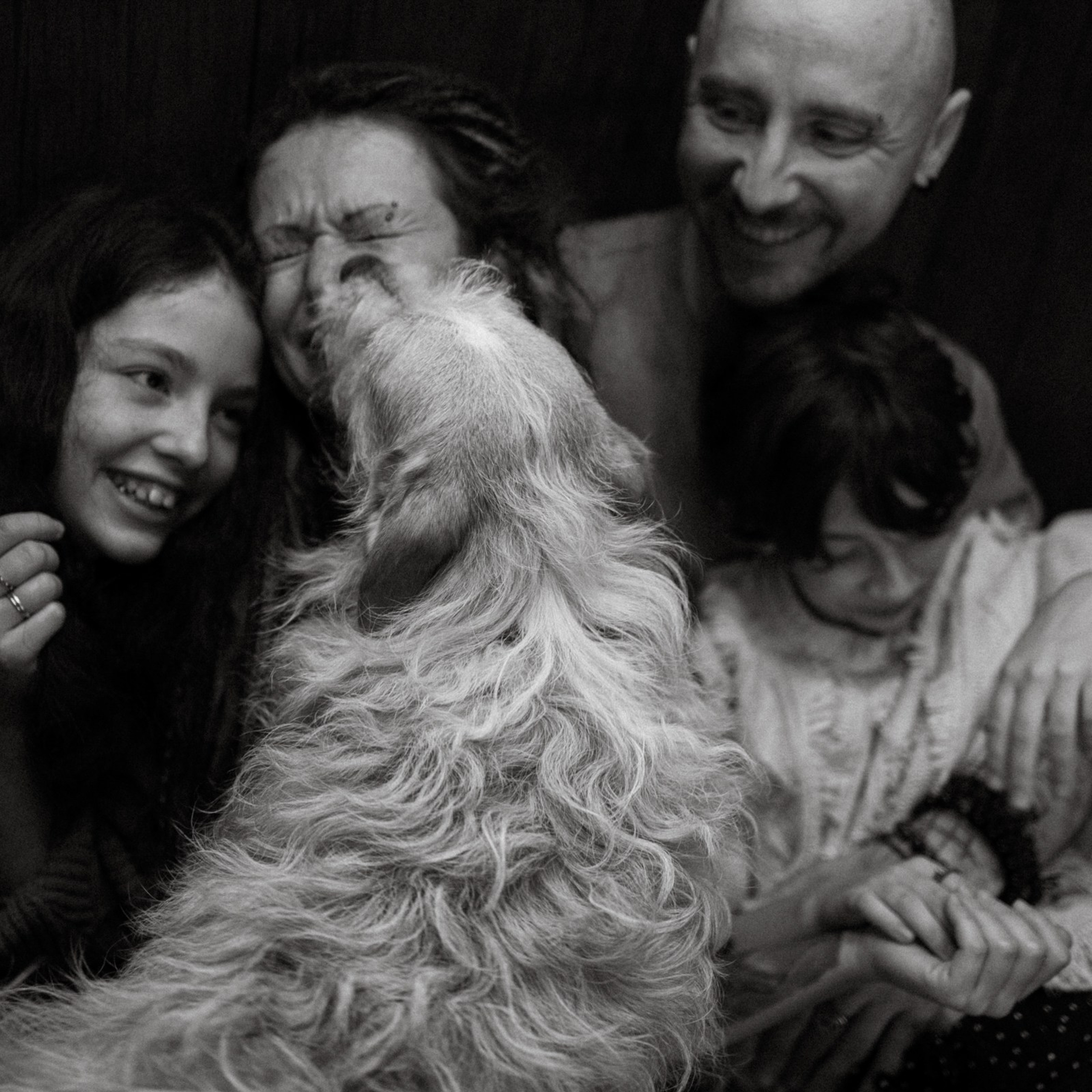 Франкенвини. Фотограф Daria Wilner