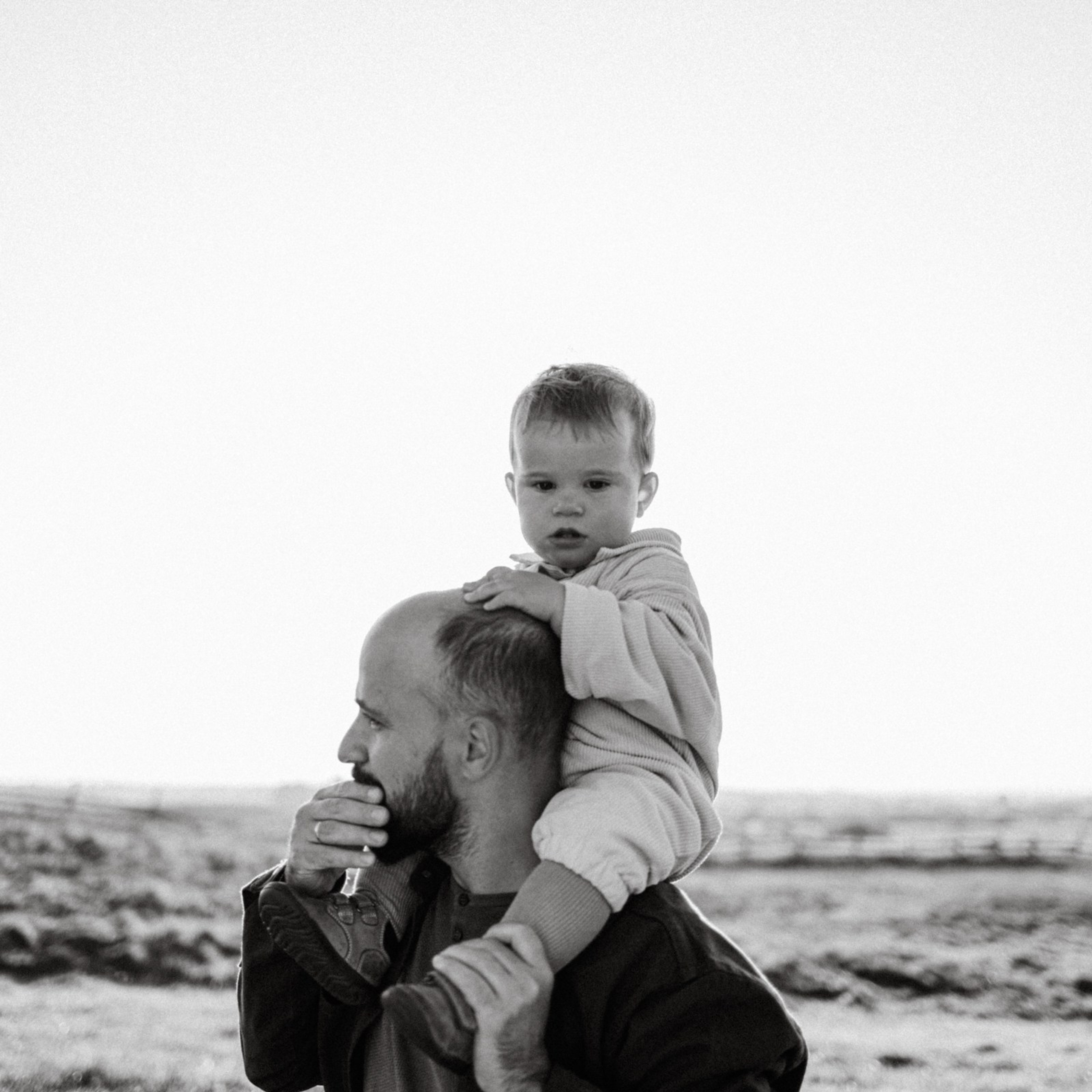 Дружелюбная овечка. Фотограф Daria Wilner