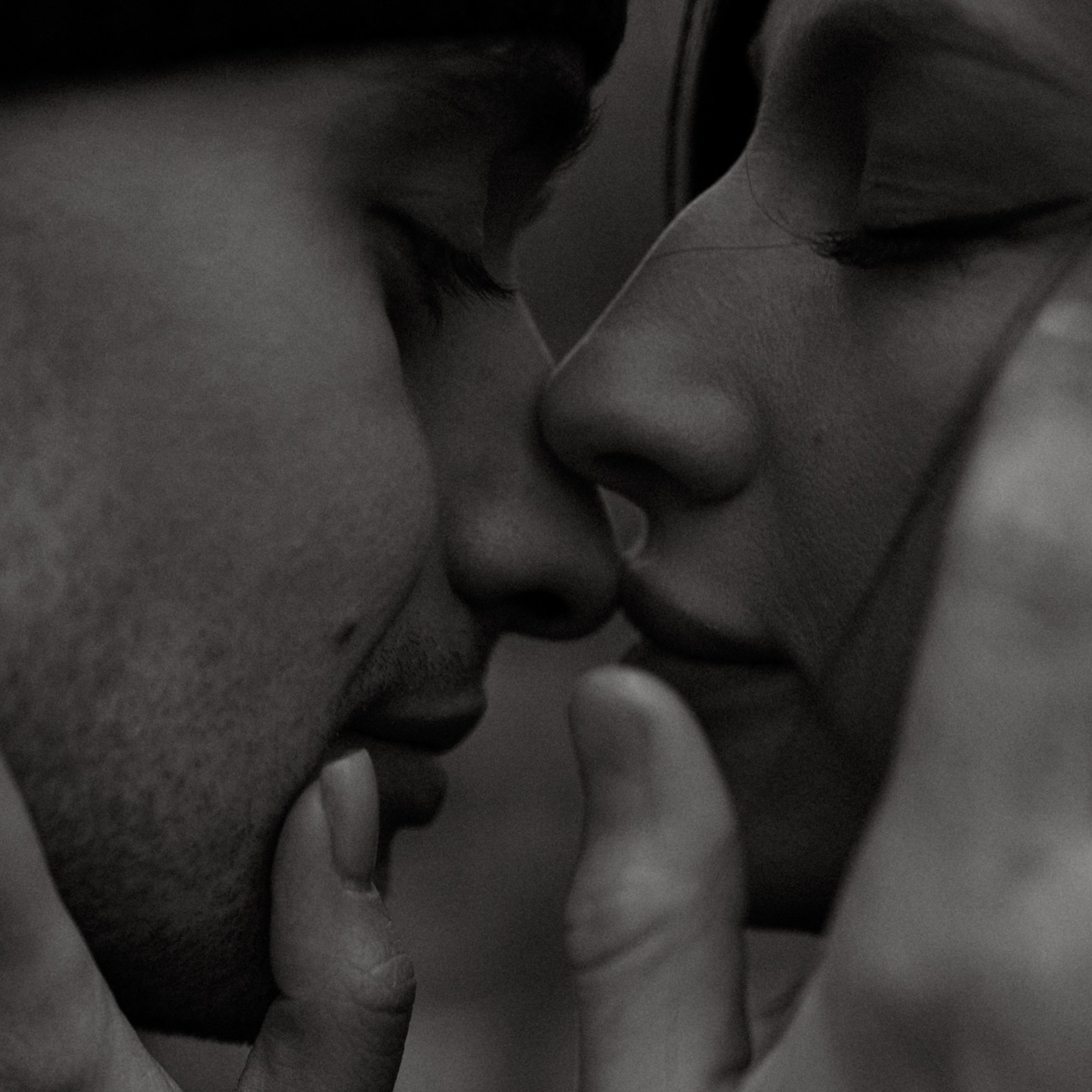 Ведется видеонаблюдение. Фотограф Daria Wilner