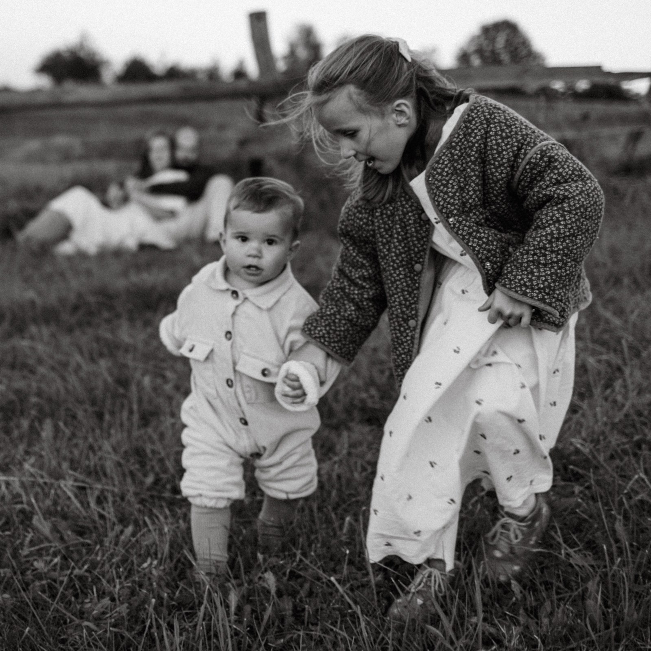 Дружелюбная овечка. Фотограф Daria Wilner