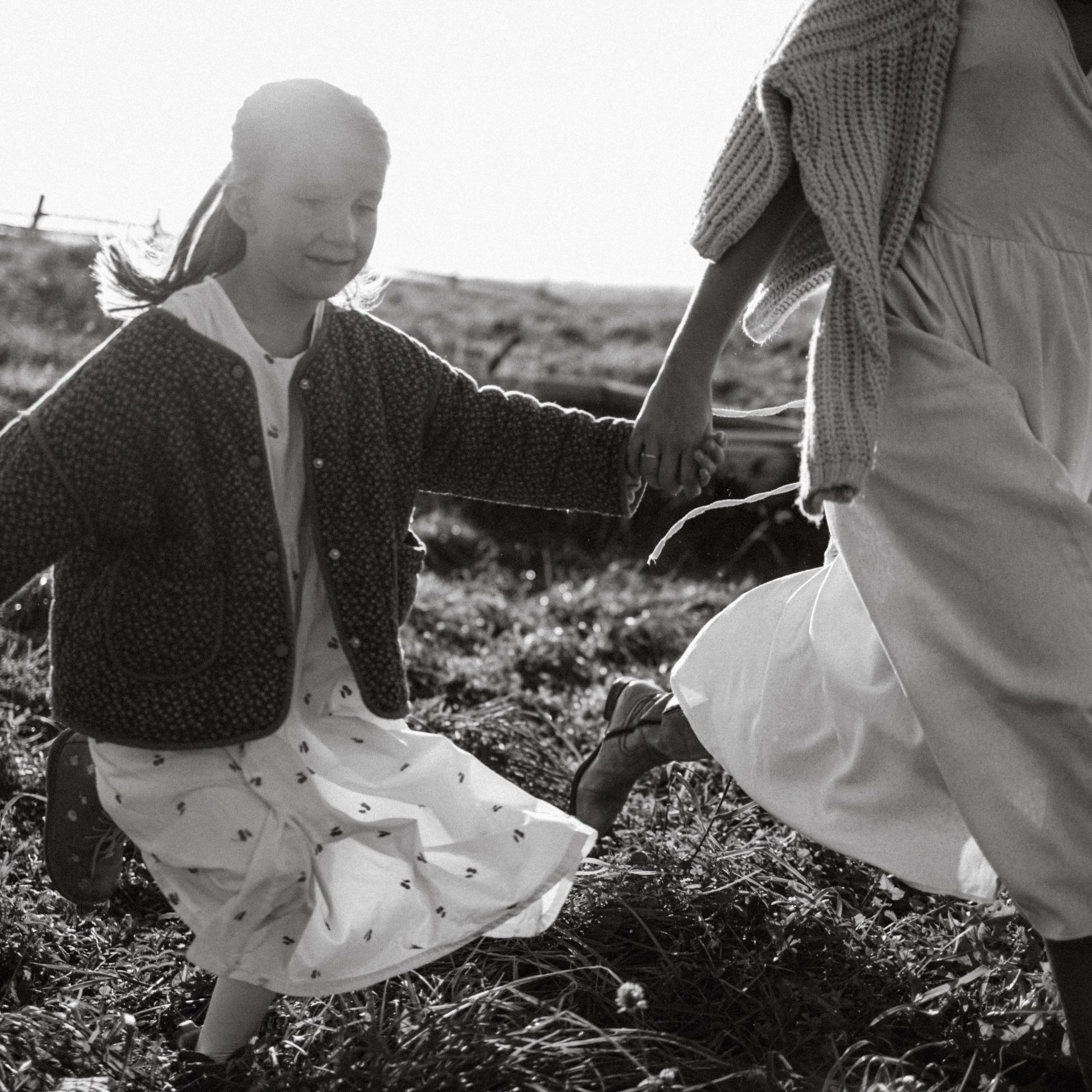 Дружелюбная овечка. Фотограф Daria Wilner