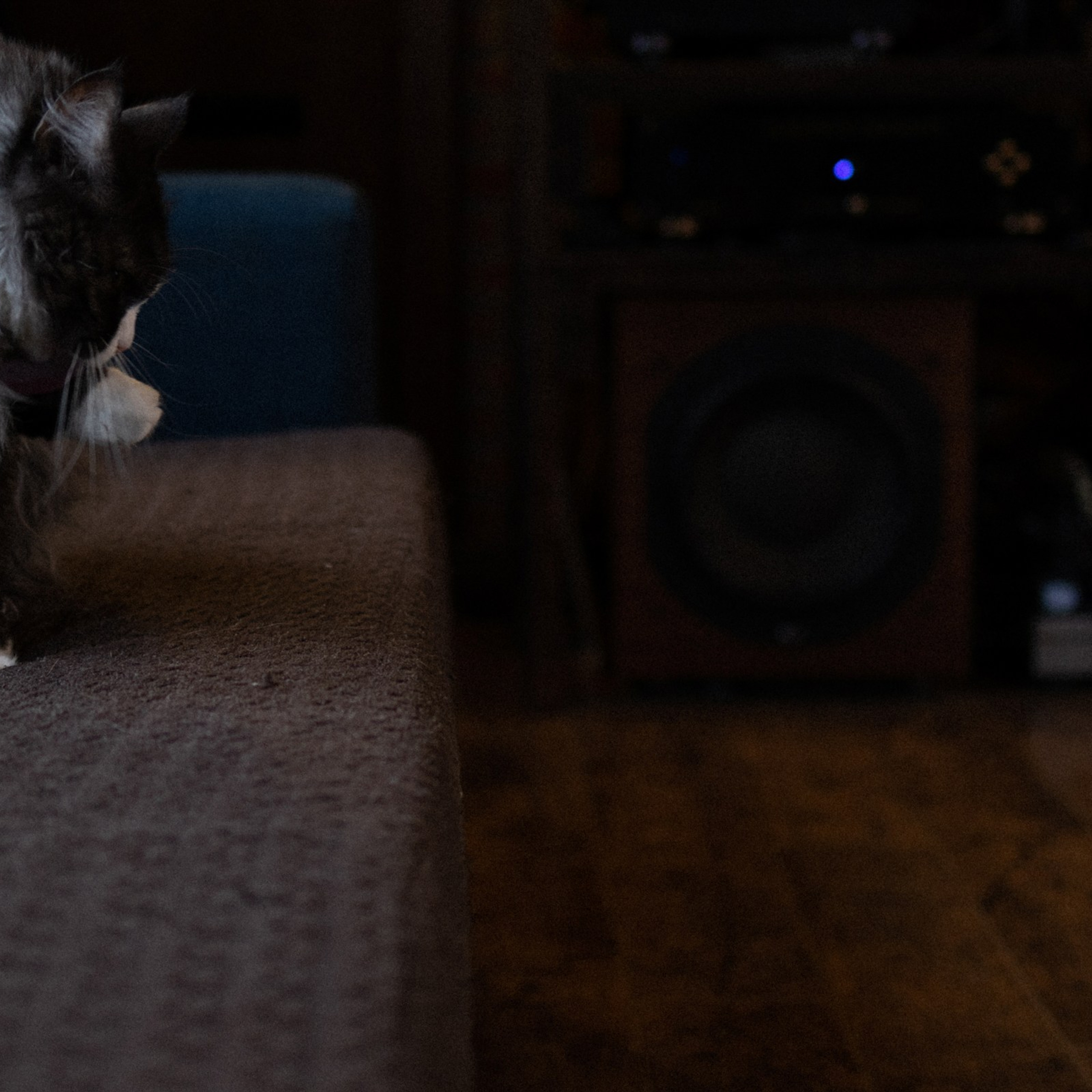 Франкенвини. Фотограф Daria Wilner