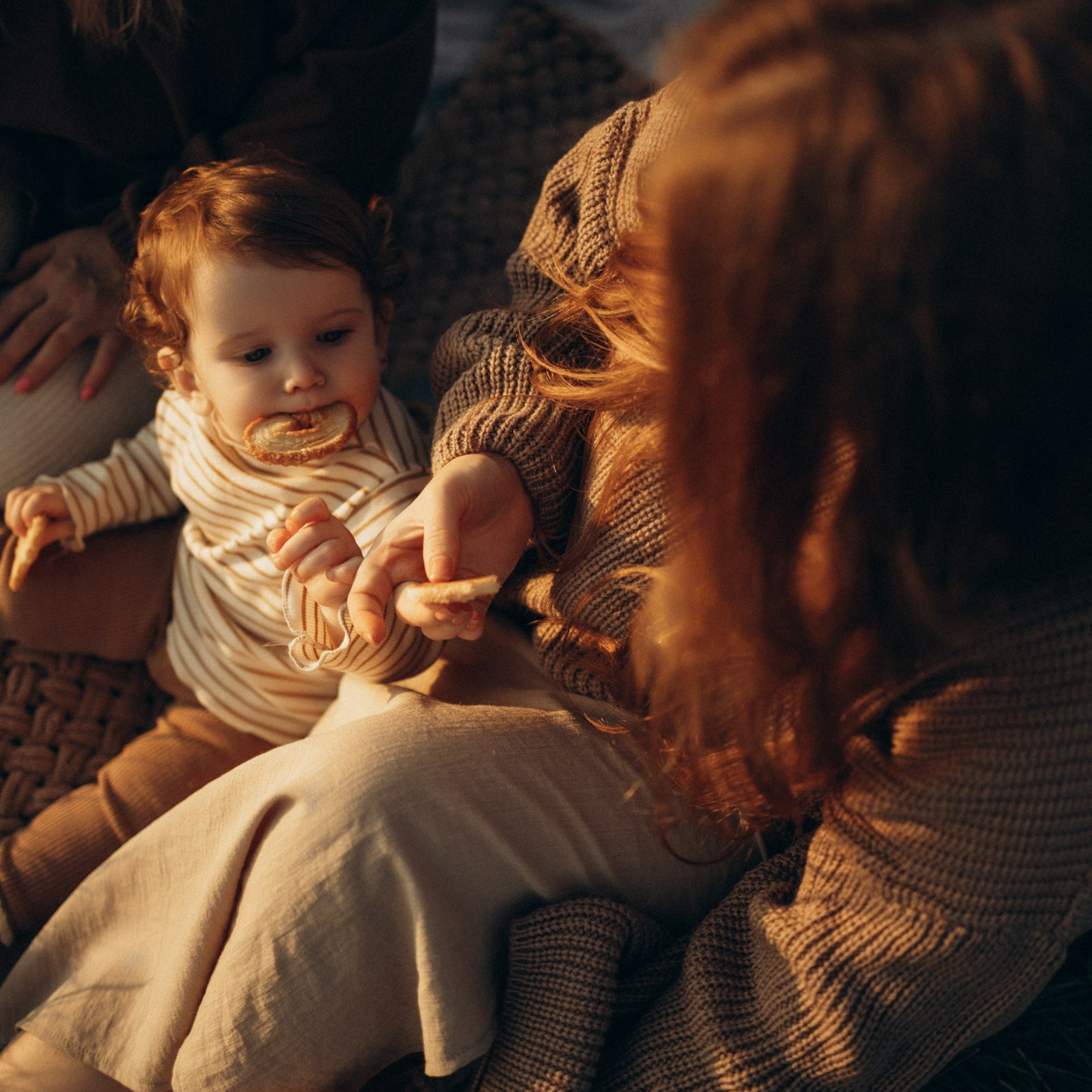 Печенька. Фотограф Daria Wilner