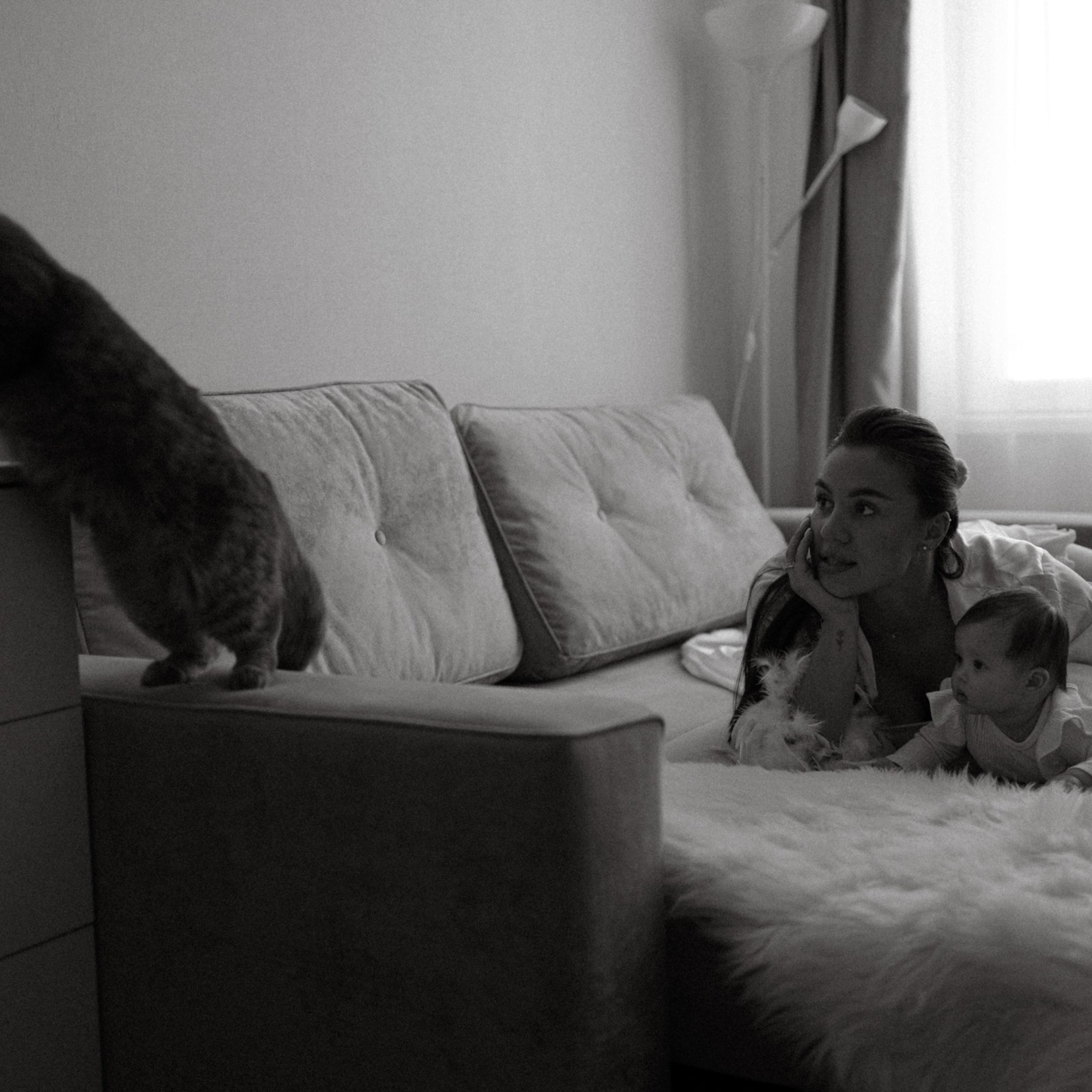 Усатый нянь. Фотограф Daria Wilner