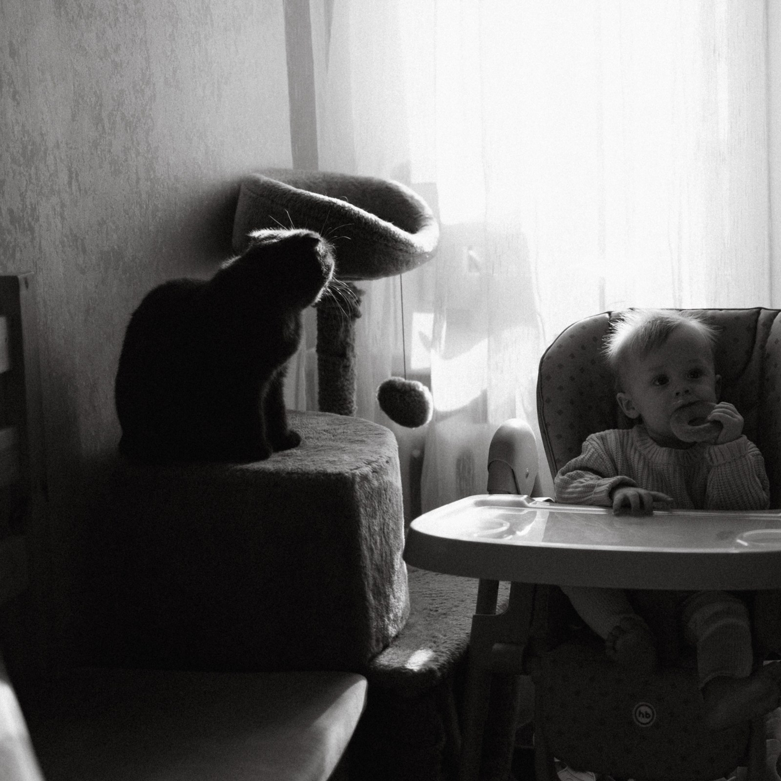 Я люблю тебя, мамочка!. Фотограф Daria Wilner