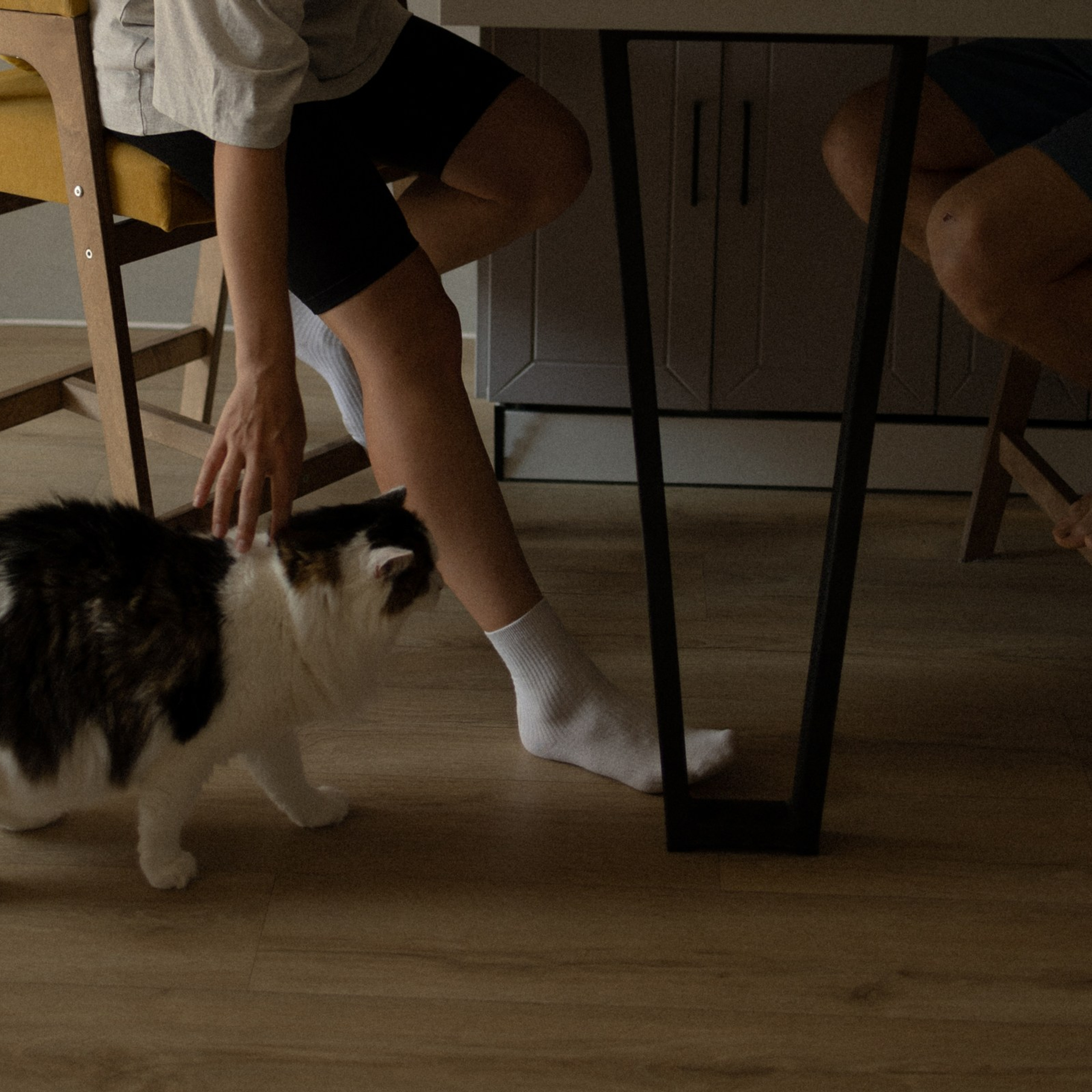 Бегущие айтишники. Фотограф Daria Wilner