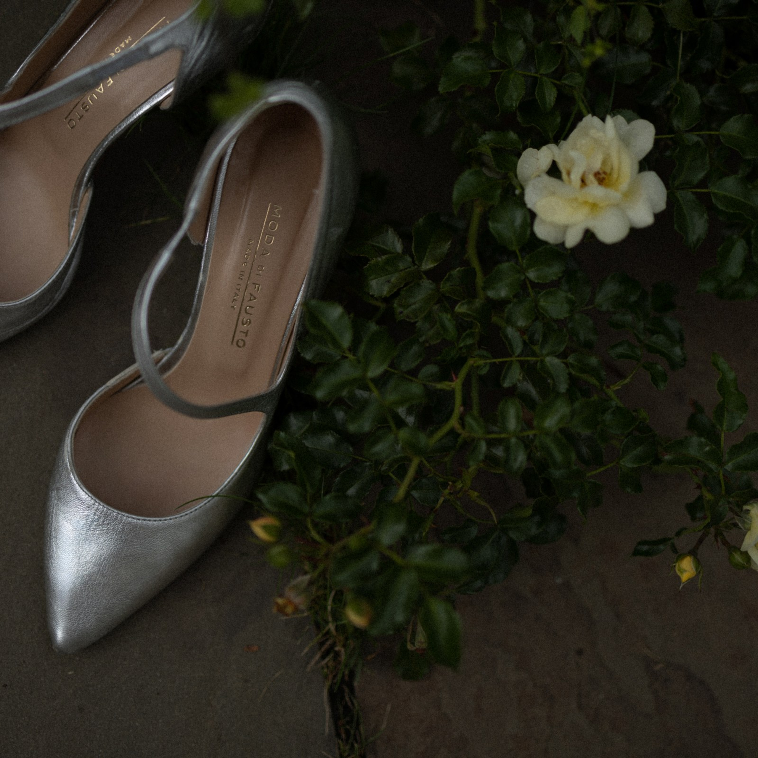 Made in Italy. Фотограф Daria Wilner