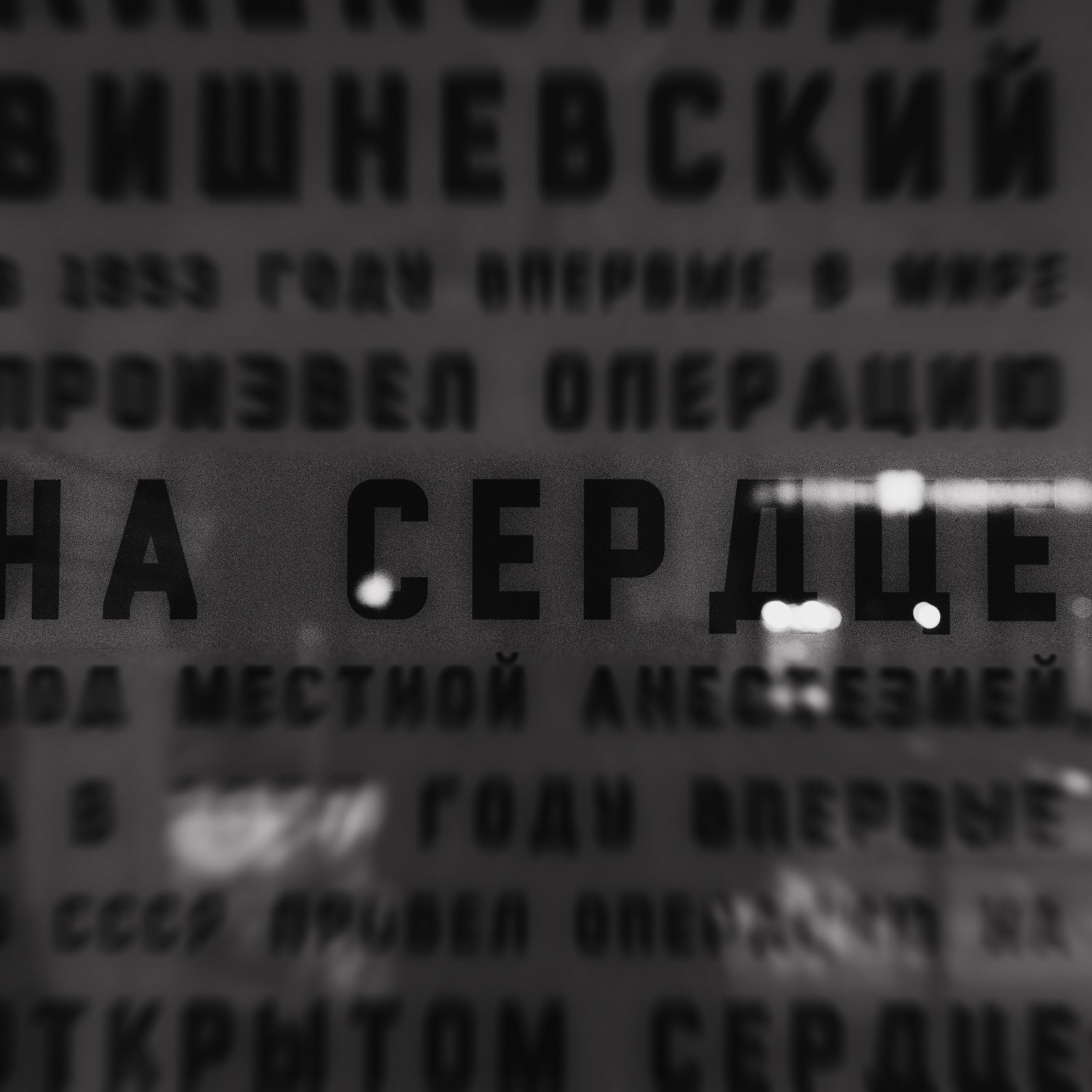 Жизнь одна. потратьте ее на любовь. Фотограф Daria Wilner