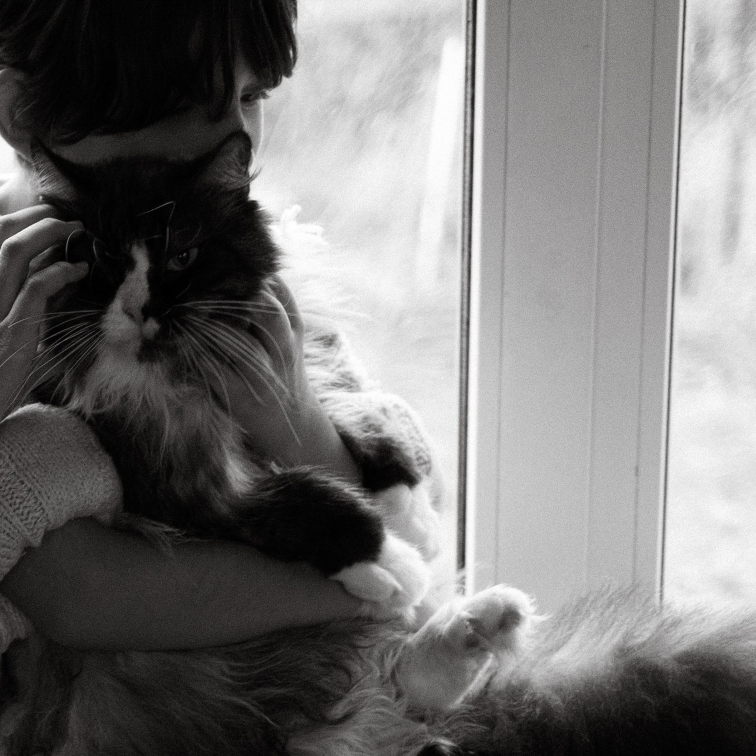 Франкенвини. Фотограф Daria Wilner