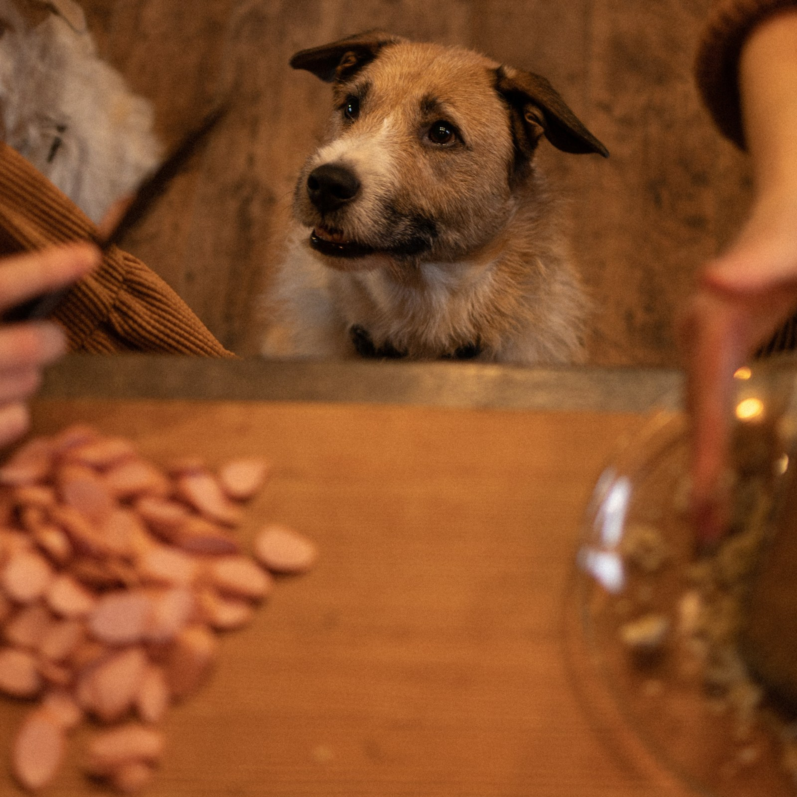 Франкенвини. Фотограф Daria Wilner