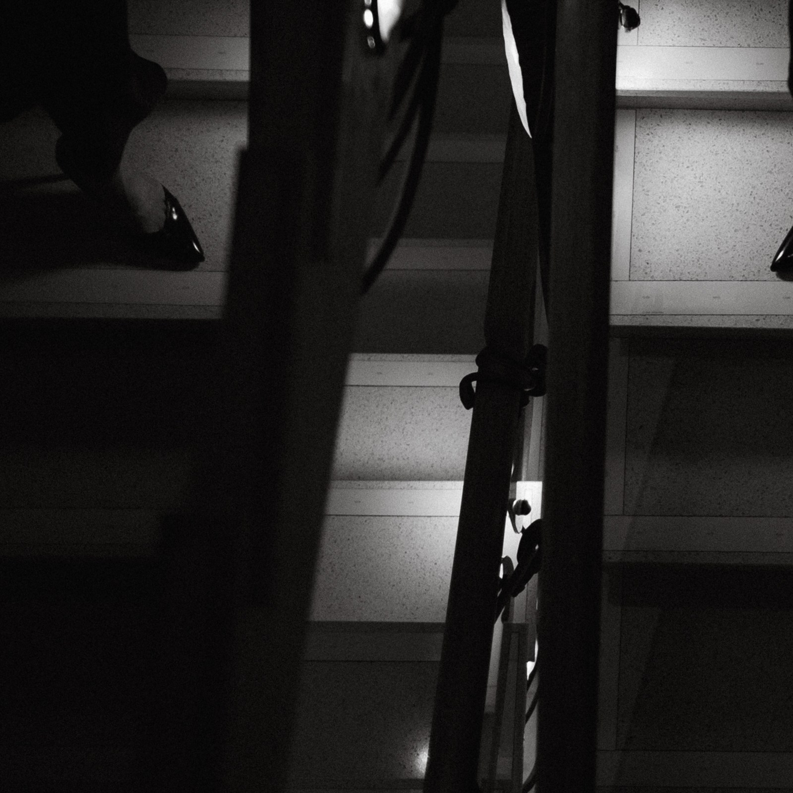 Таинственная незнакомка. Фотограф Daria Wilner