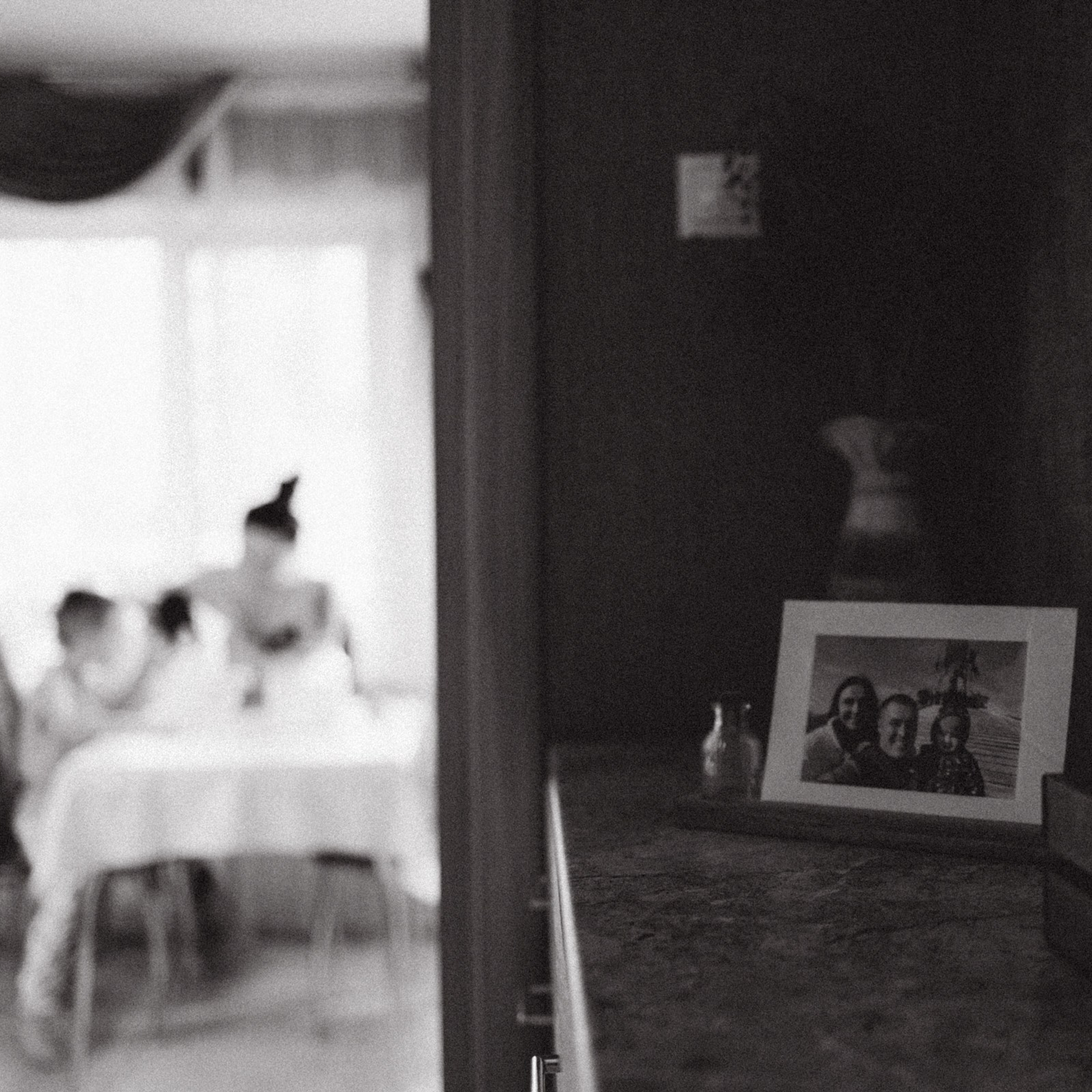 Чай с ллидинками. Фотограф Daria Wilner