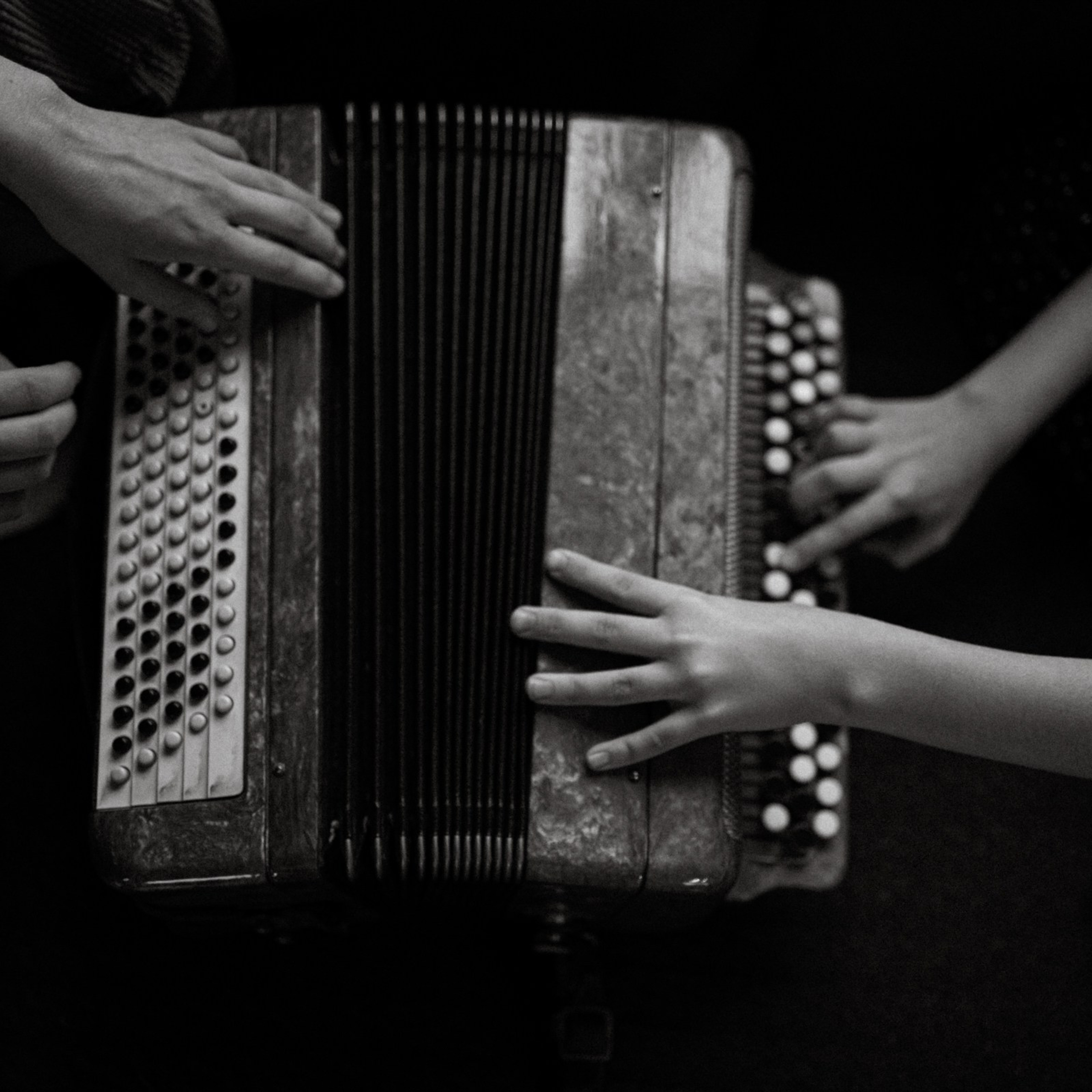 Франкенвини. Фотограф Daria Wilner