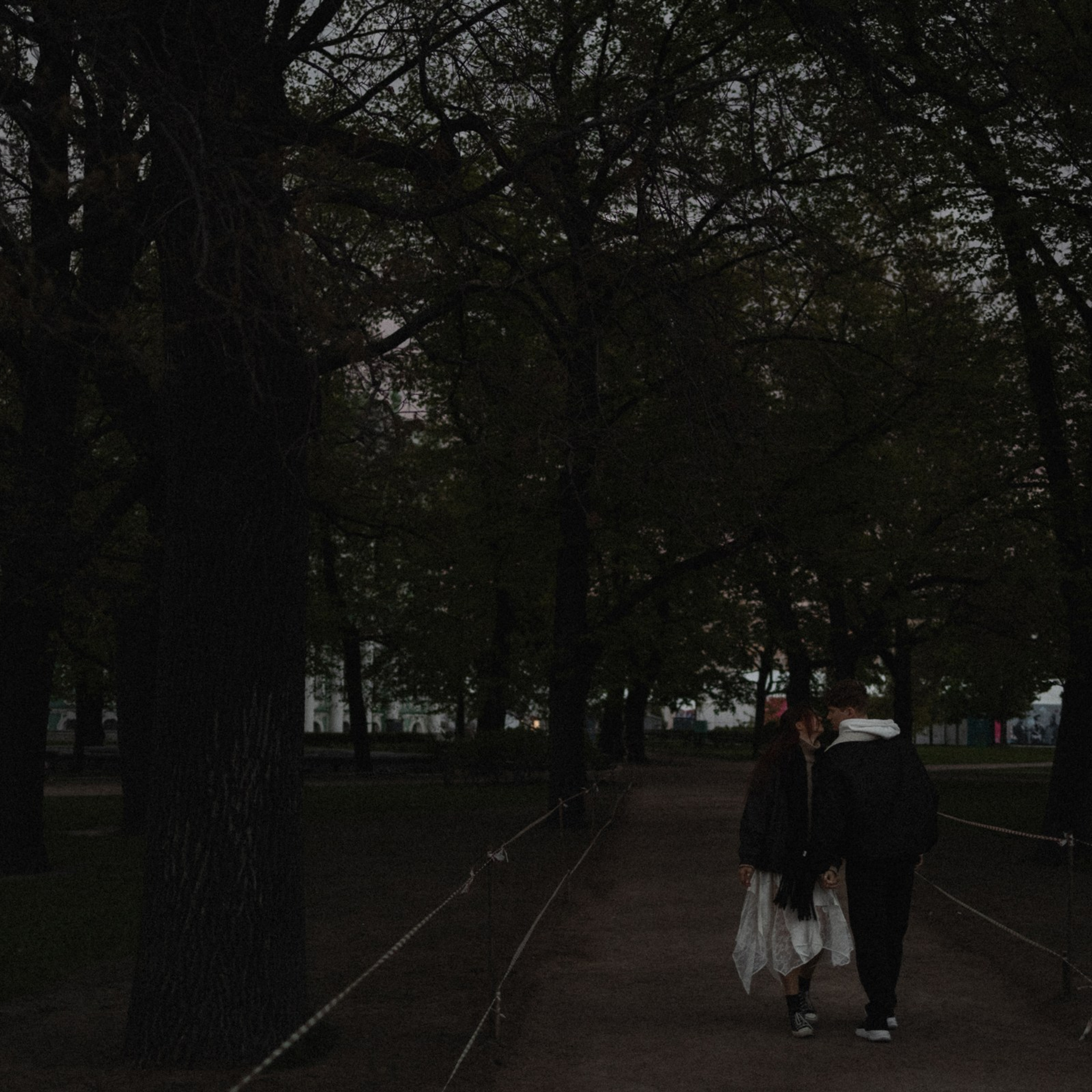 ВлюблятьсяЦеловаться. Фотограф Daria Wilner