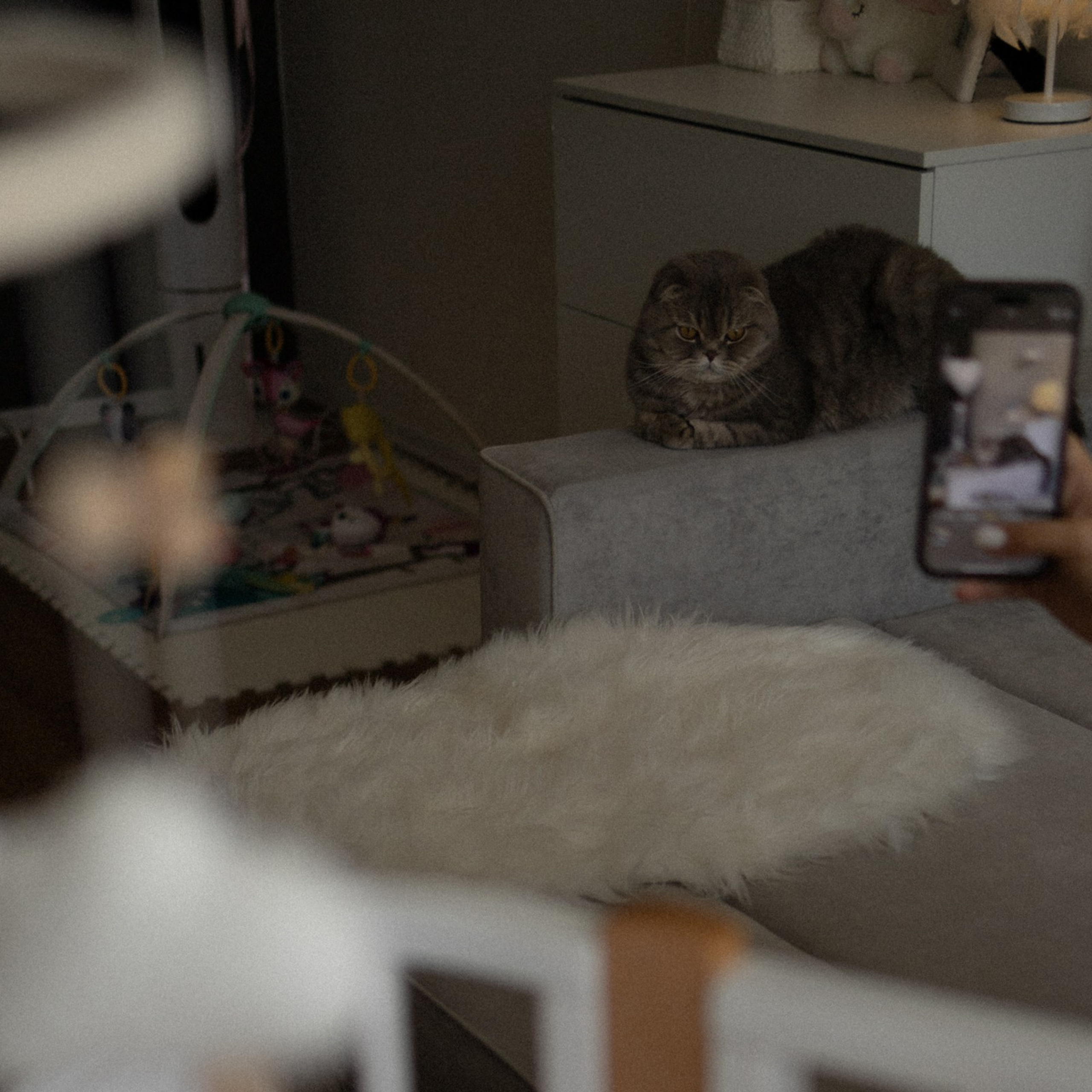 Усатый нянь. Фотограф Daria Wilner