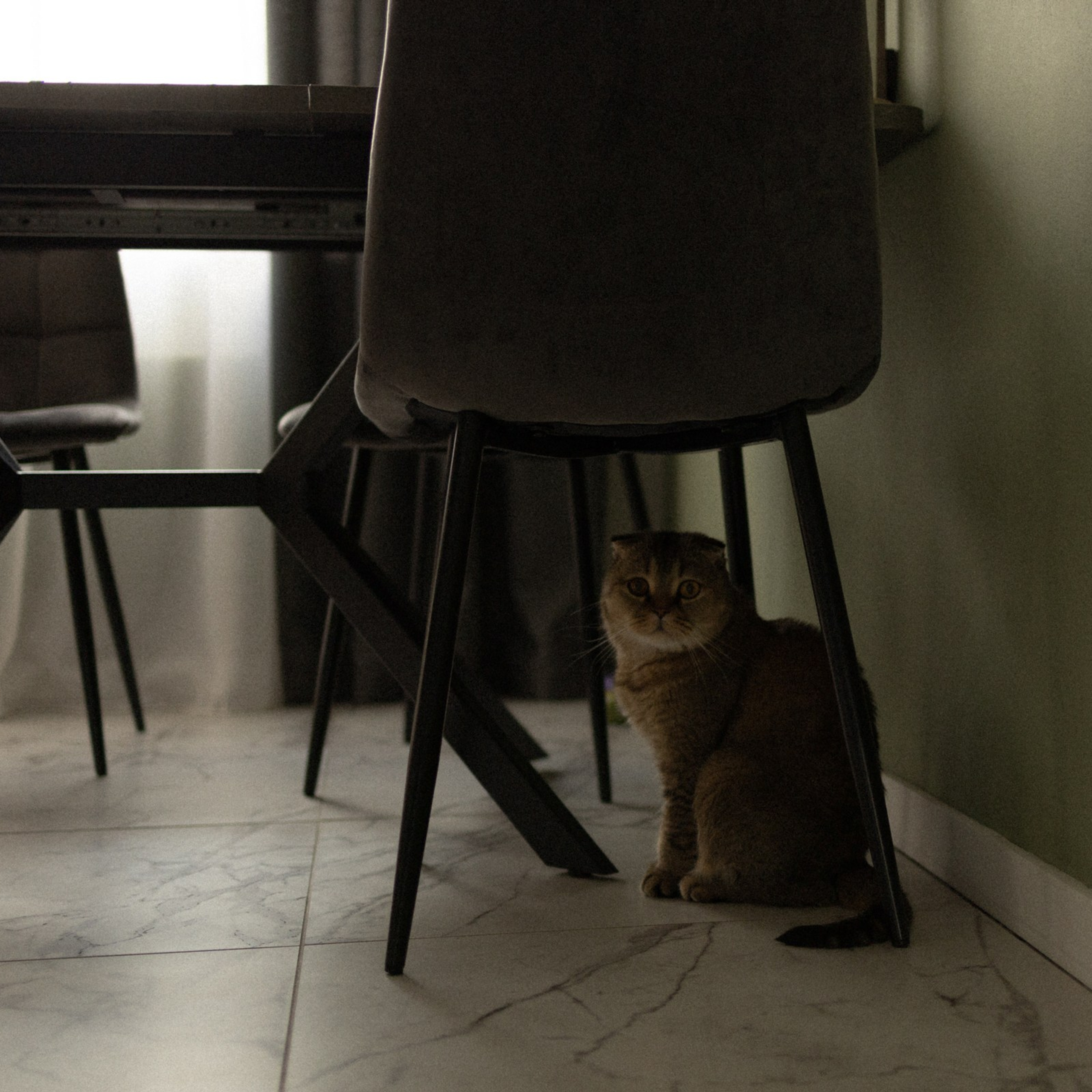 One. Фотограф Daria Wilner