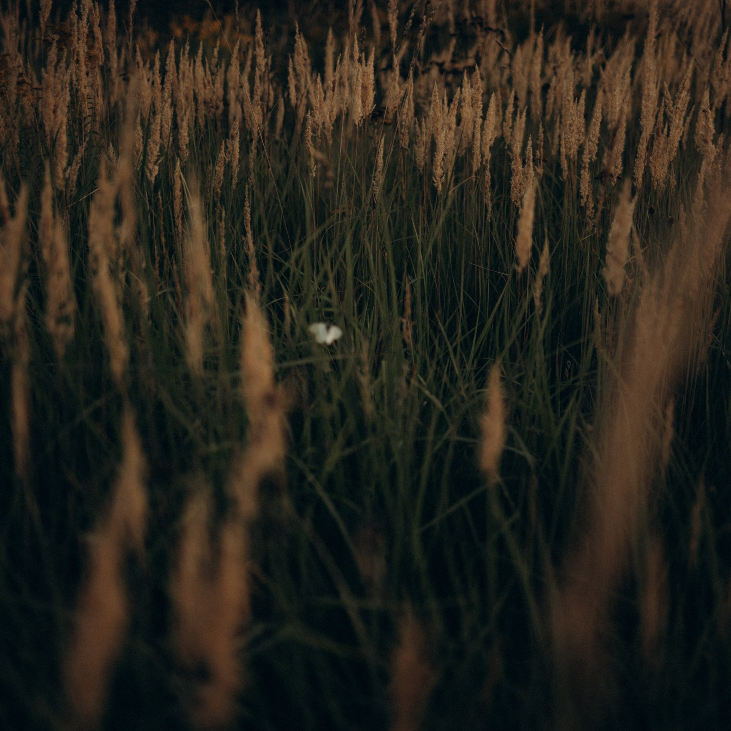 Мы же на ты 25 лет. Фотограф Daria Wilner