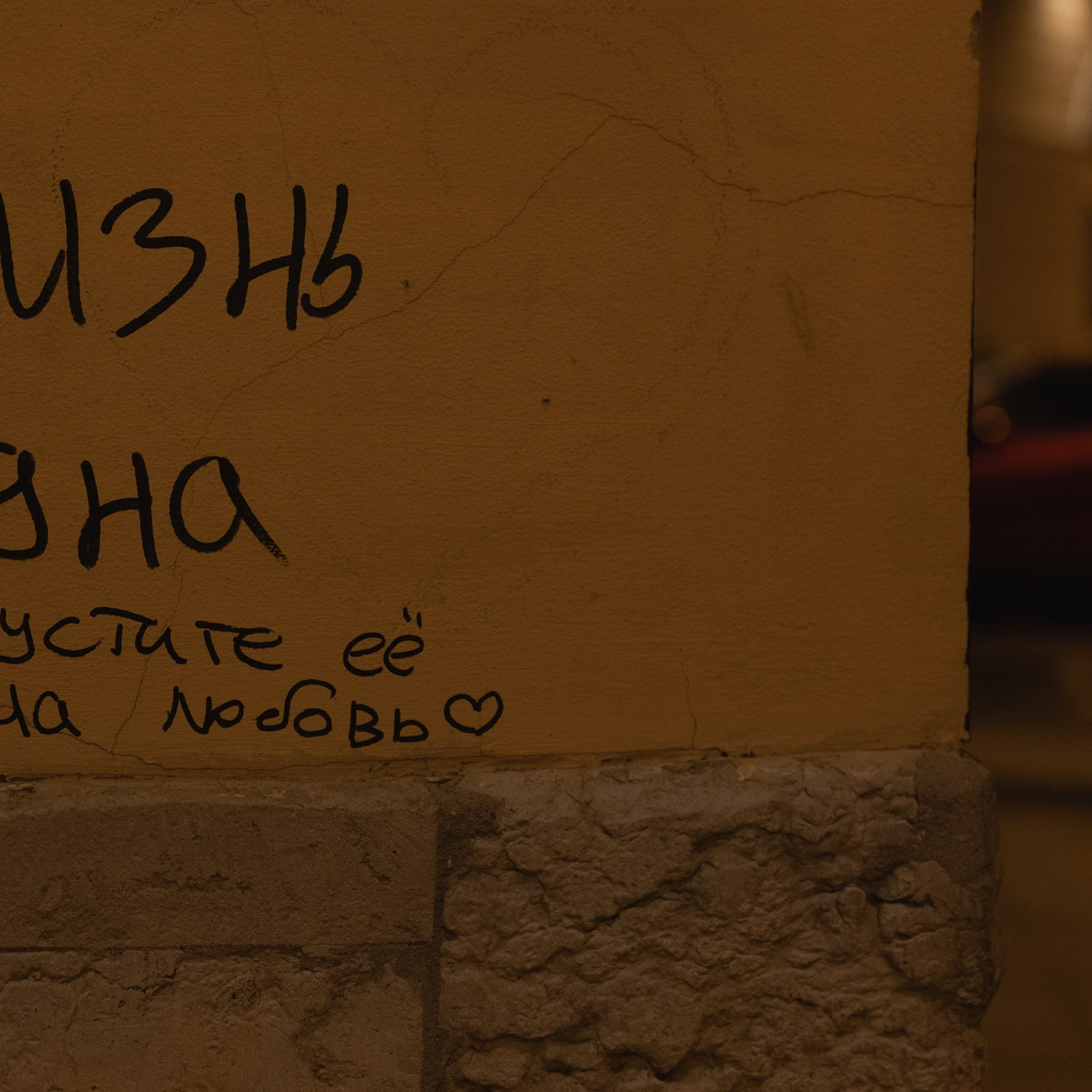 Жизнь одна. потратьте ее на любовь. Фотограф Daria Wilner