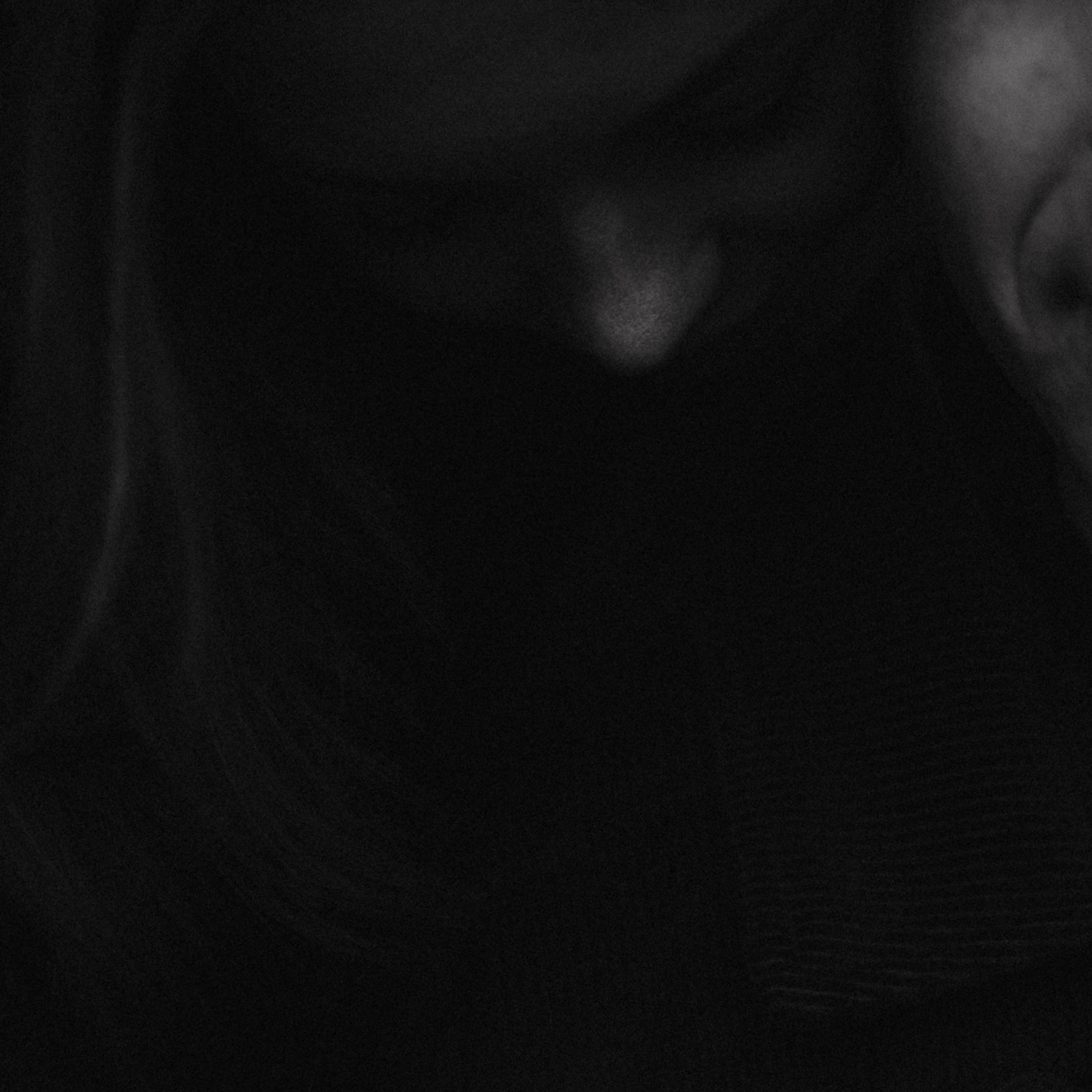 К Чуду. Фотограф Daria Wilner