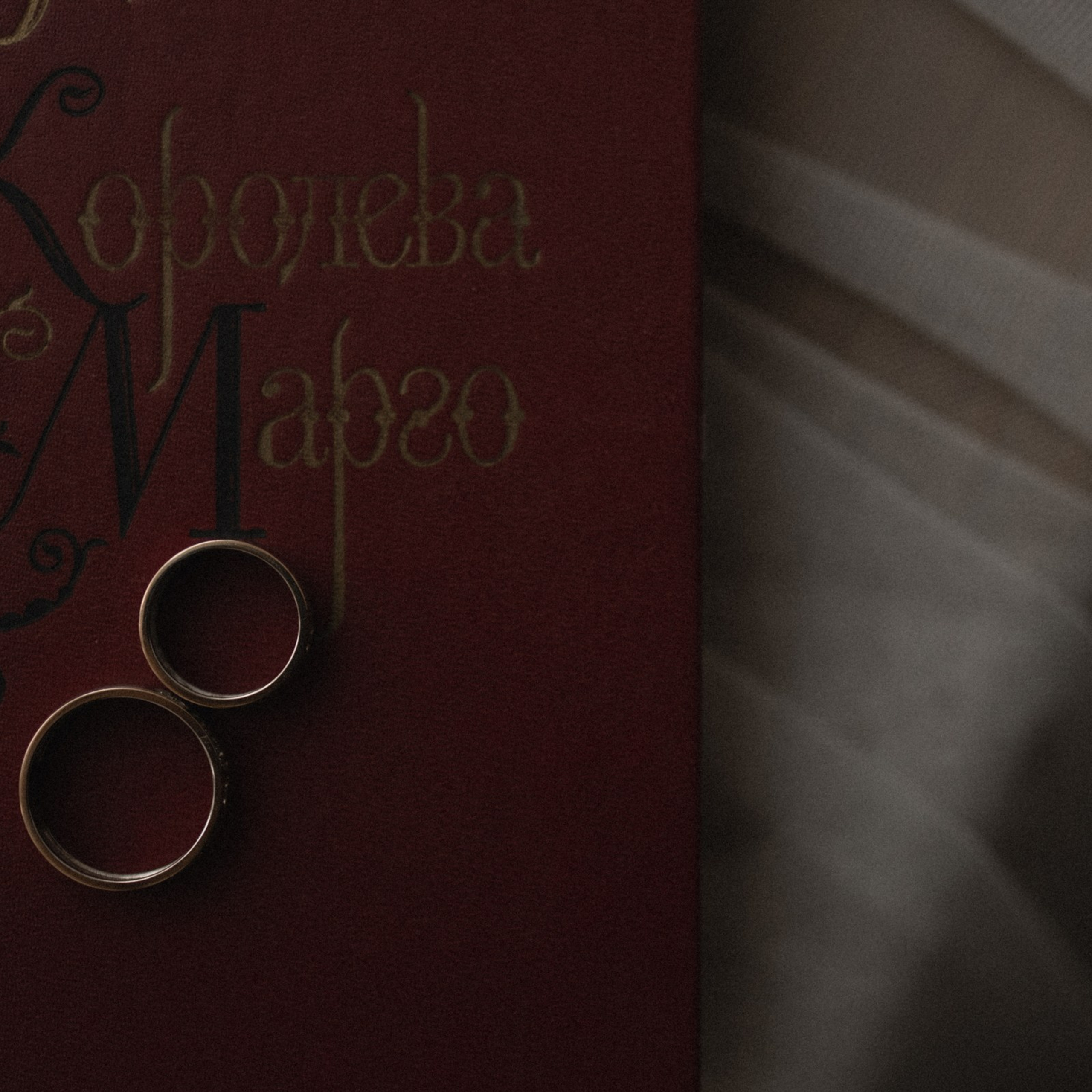 La Madeleine de Proust. Фотограф Daria Wilner