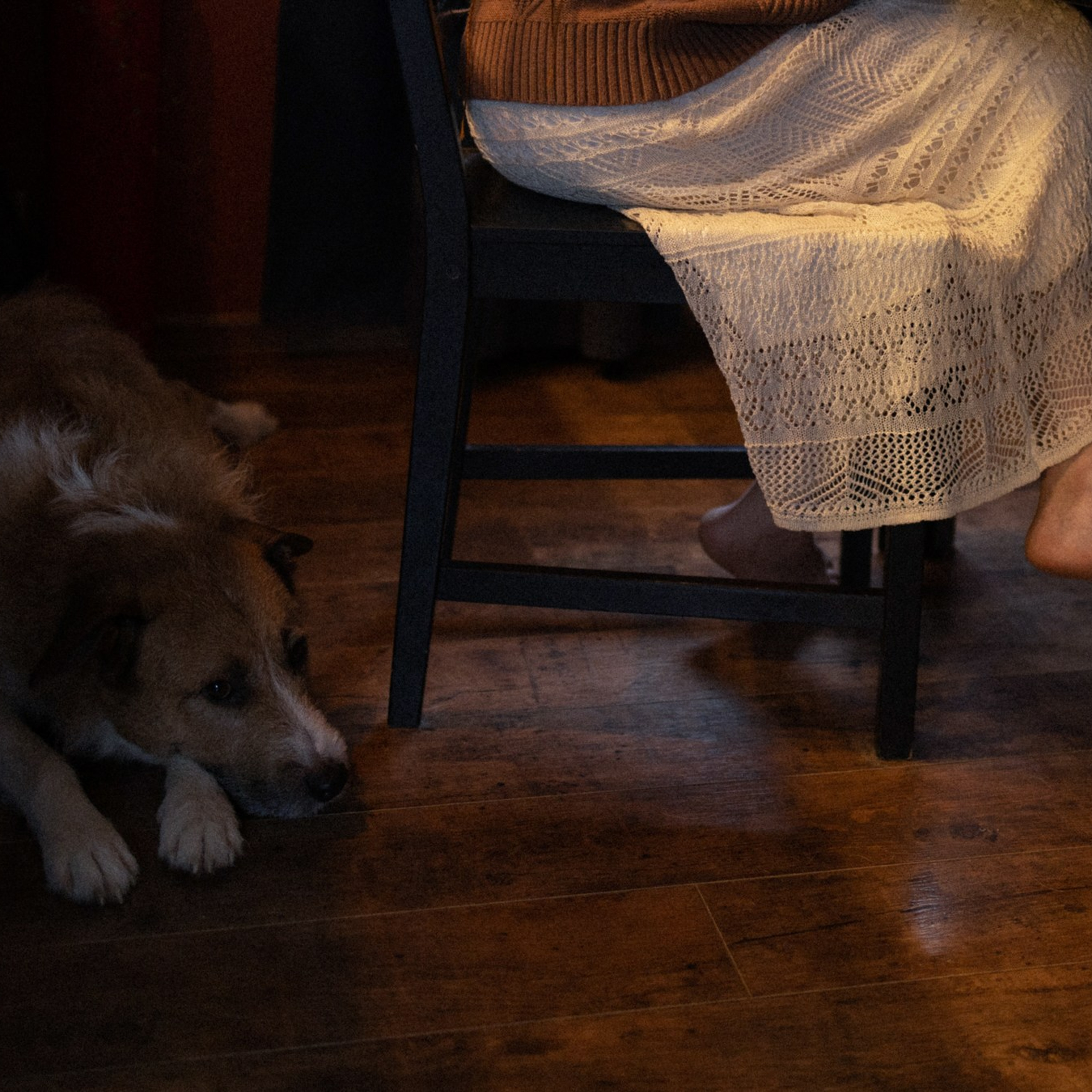 Франкенвини. Фотограф Daria Wilner