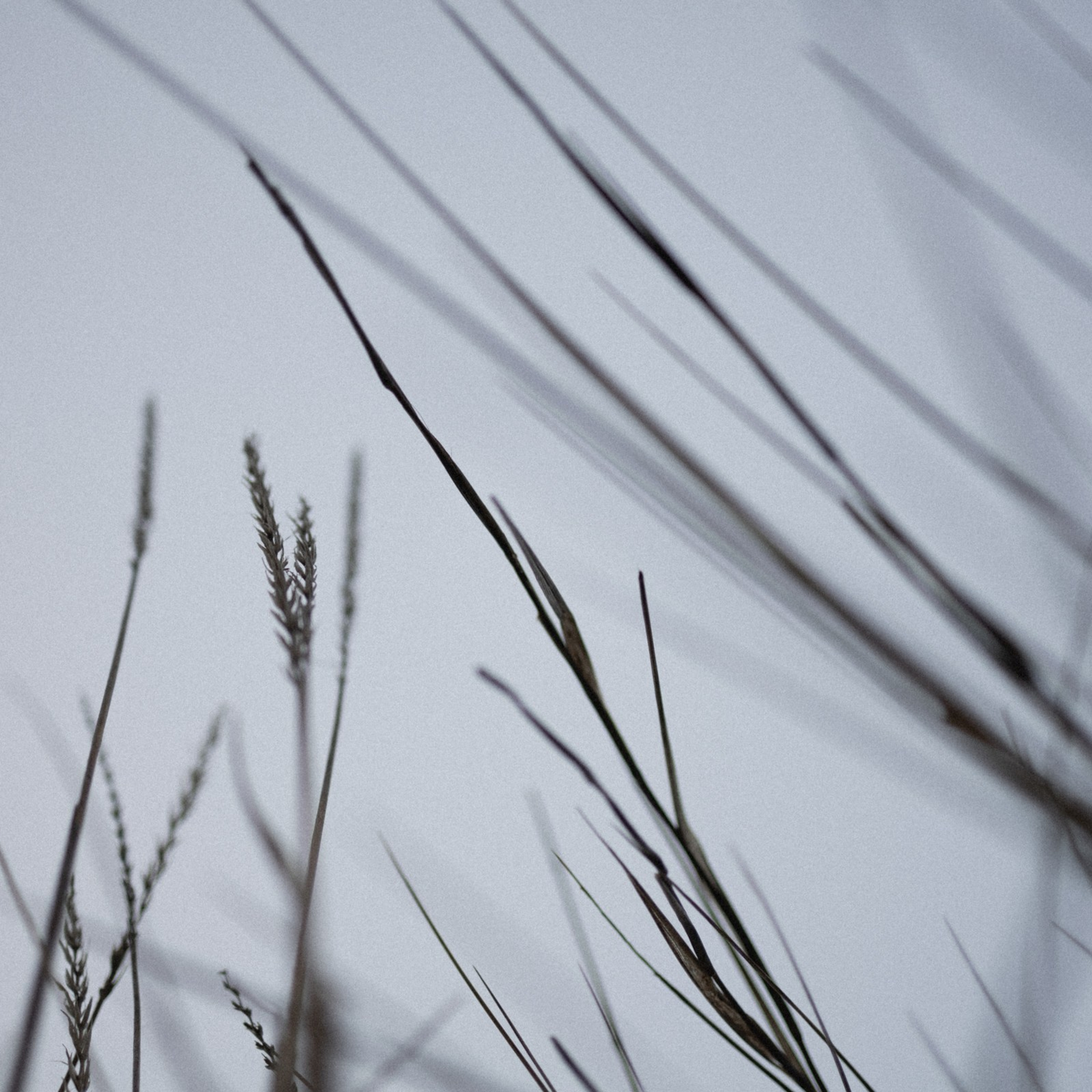 К Чуду. Фотограф Daria Wilner