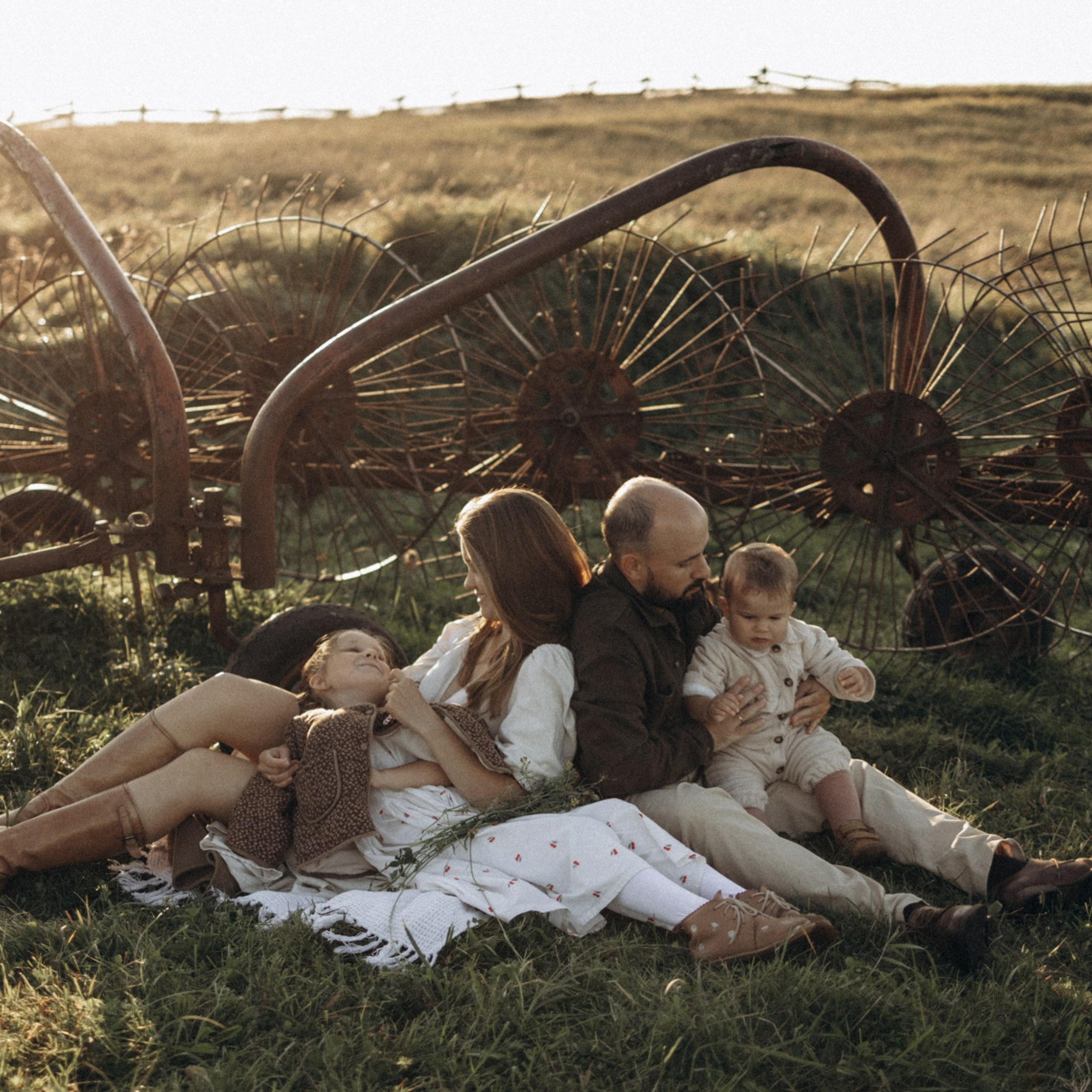 Дружелюбная овечка. Фотограф Daria Wilner