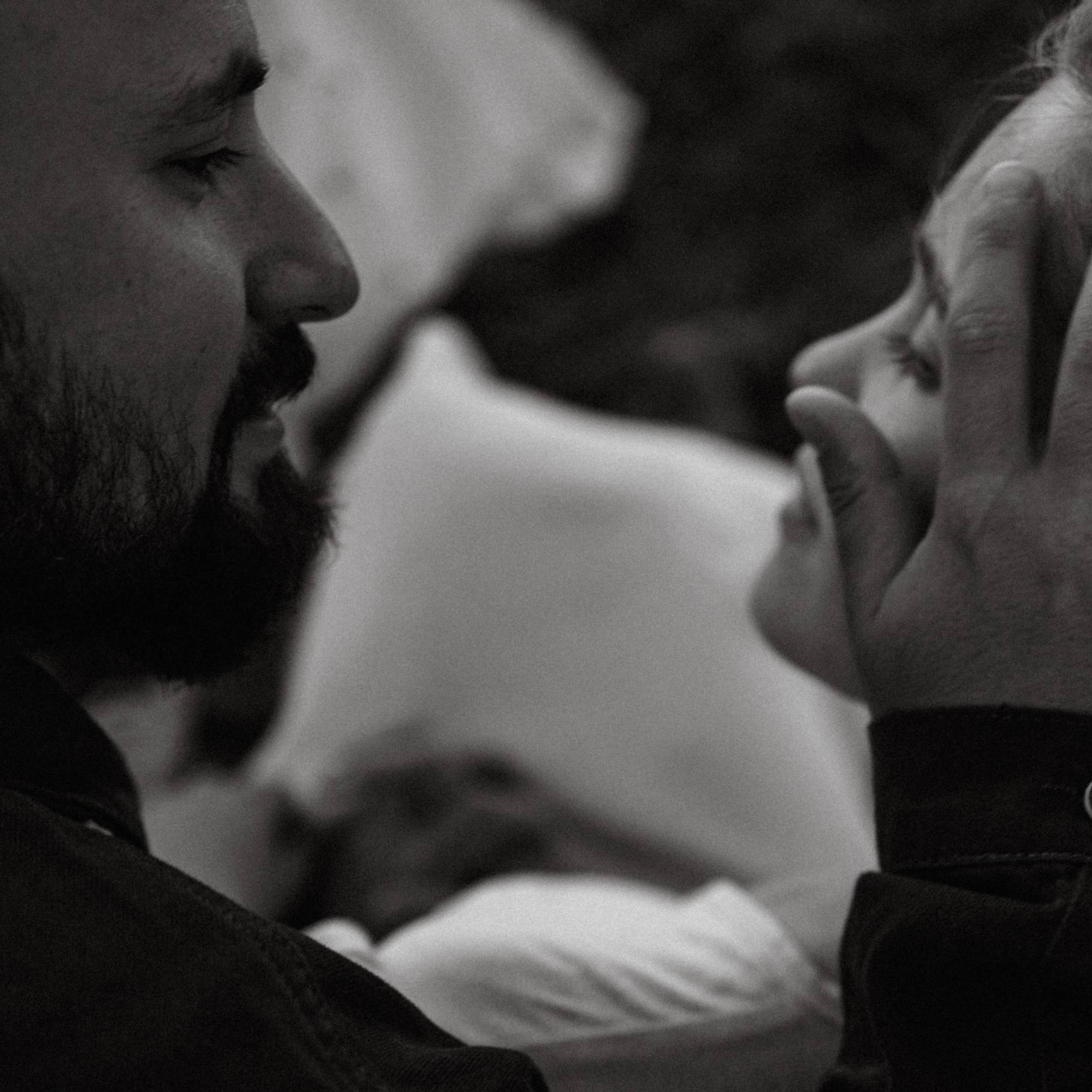 Дружелюбная овечка. Фотограф Daria Wilner